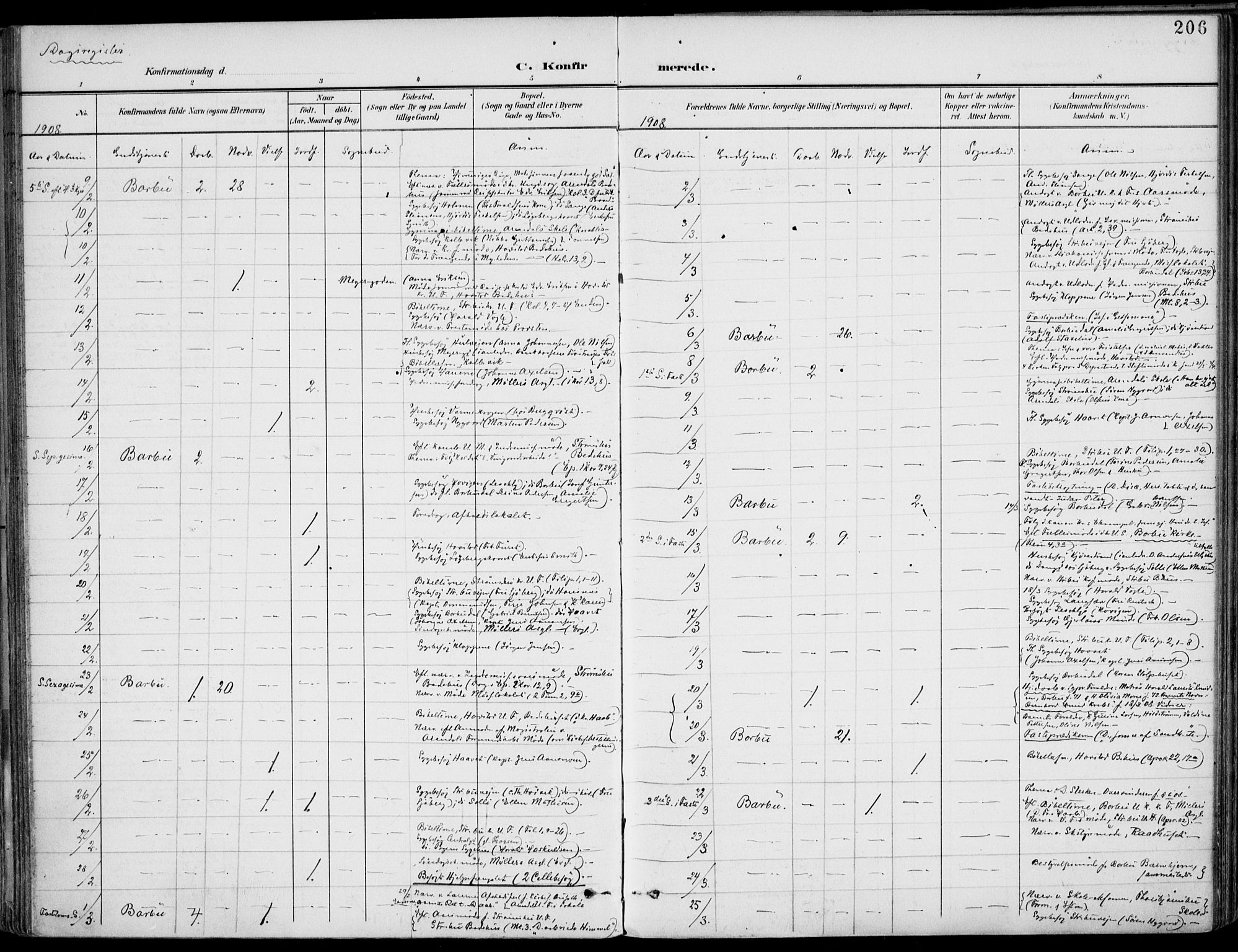 Barbu sokneprestkontor, AV/SAK-1111-0003/F/Fa/L0005: Parish register (official) no. A 5, 1899-1909, p. 206