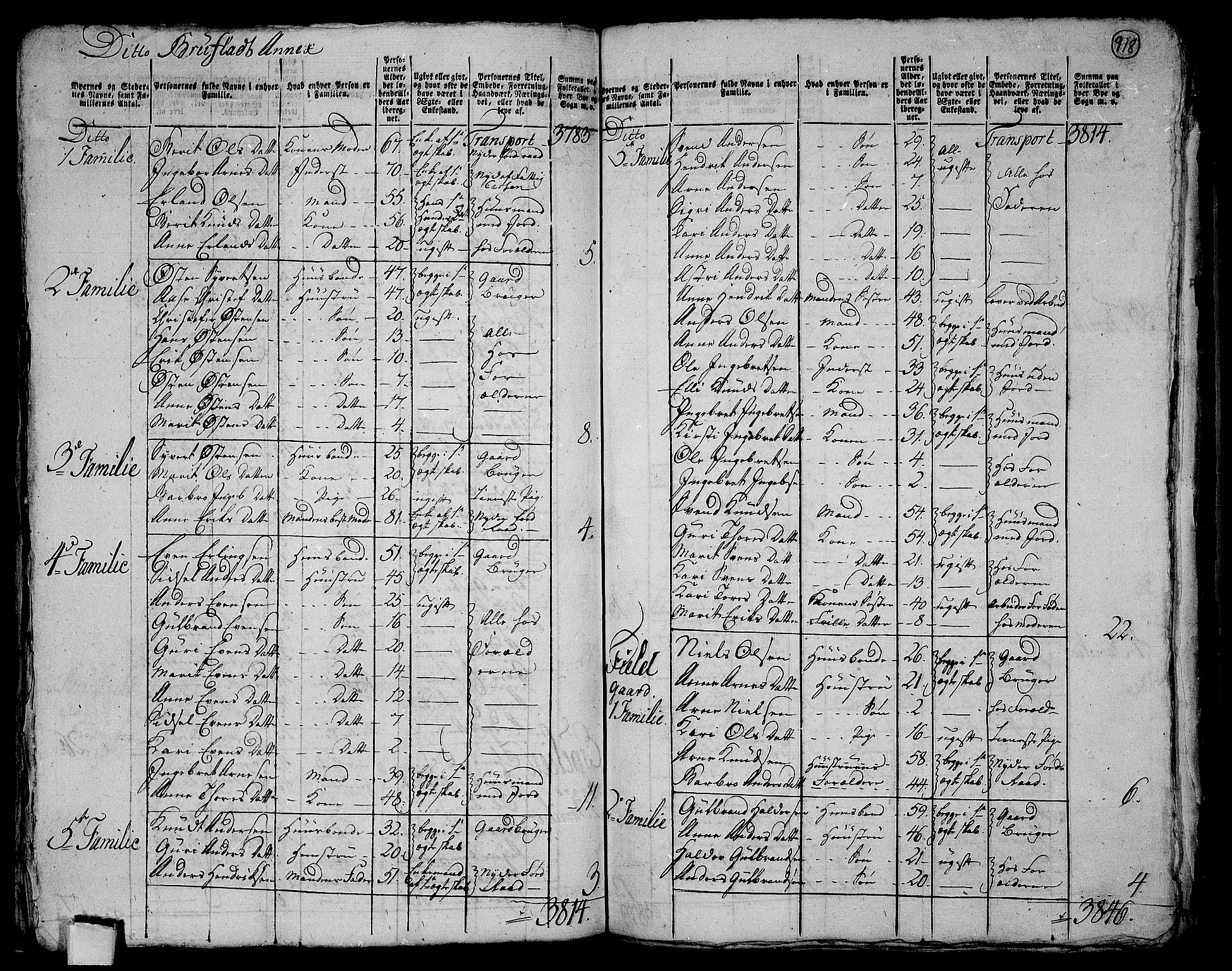 RA, 1801 census for 0542P Aurdal, 1801, p. 917b-918a