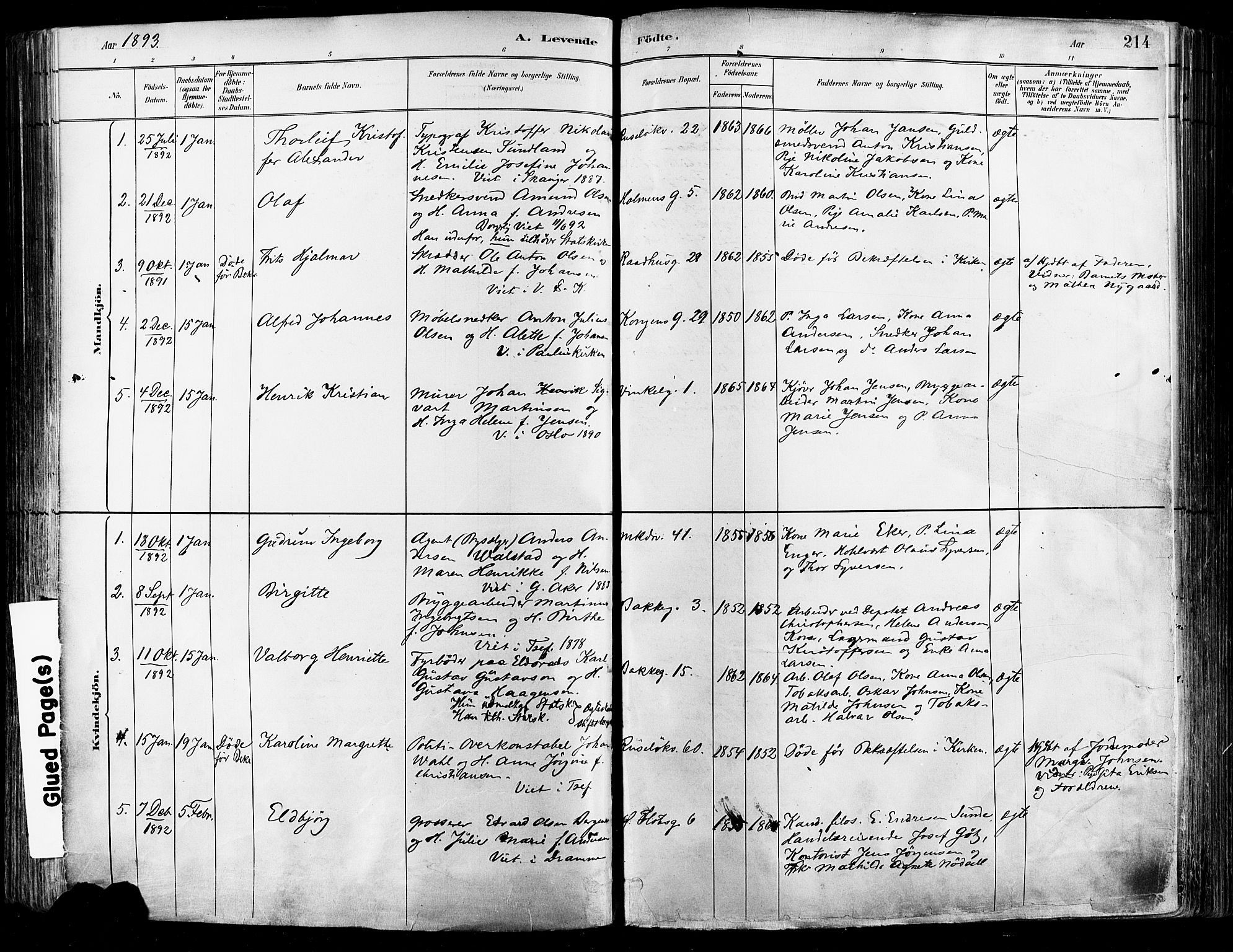 Johannes prestekontor Kirkebøker, SAO/A-10852/F/Fa/L0003: Parish register (official) no. 3, 1882-1896, p. 214