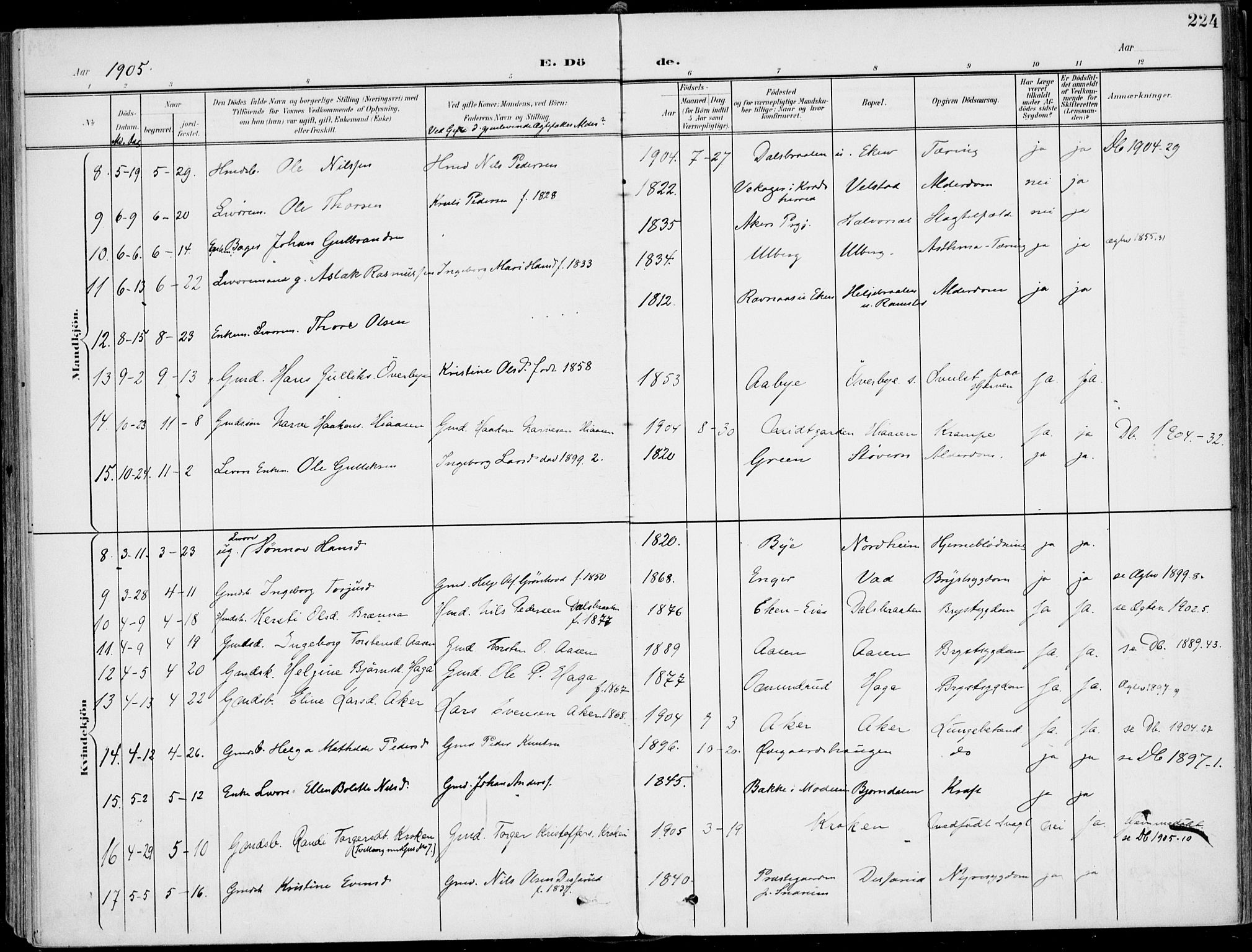 Sigdal kirkebøker, AV/SAKO-A-245/F/Fb/L0002: Parish register (official) no. II 2, 1901-1914, p. 224