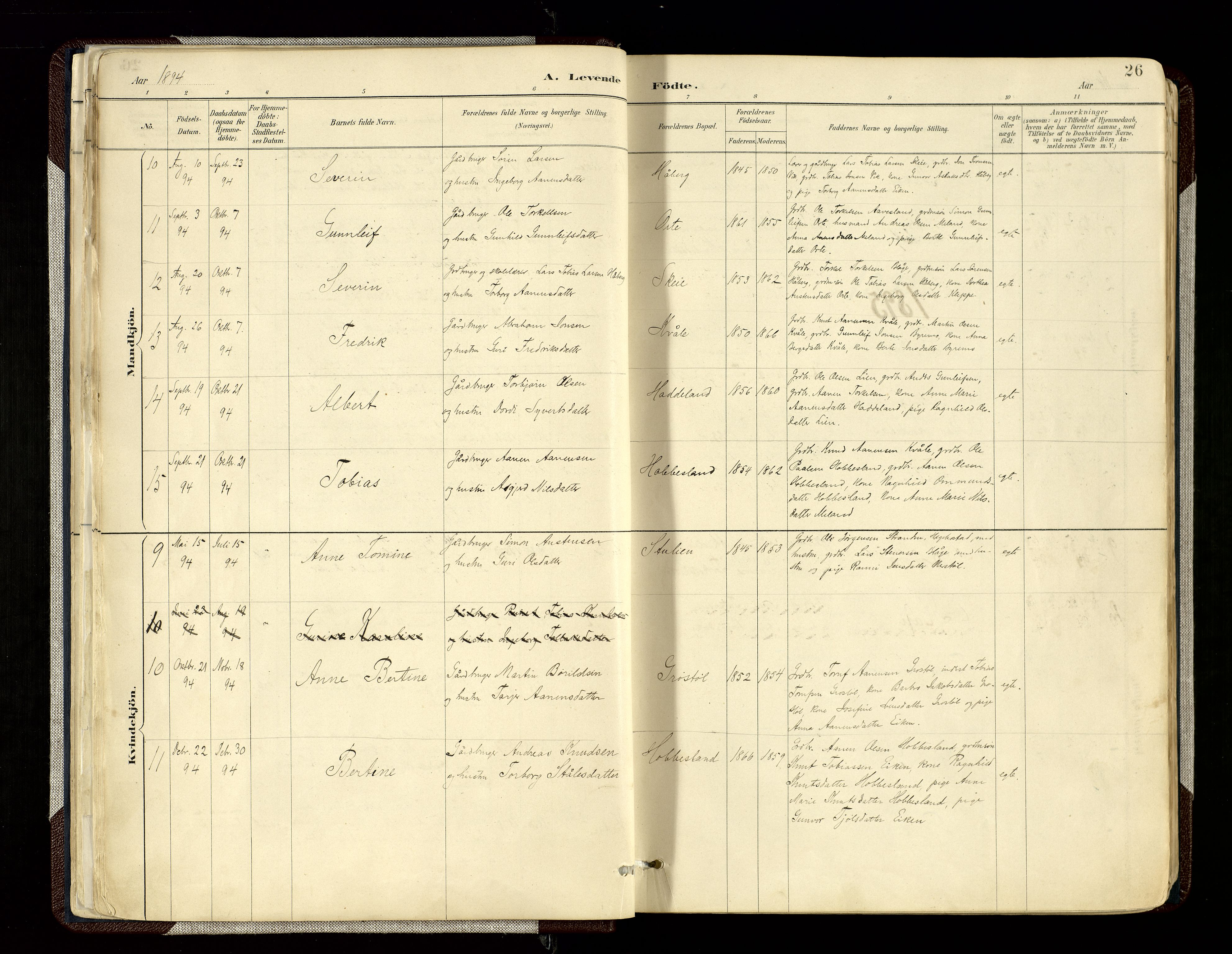 Hægebostad sokneprestkontor, SAK/1111-0024/F/Fa/Fab/L0004: Parish register (official) no. A 4, 1887-1929, p. 26