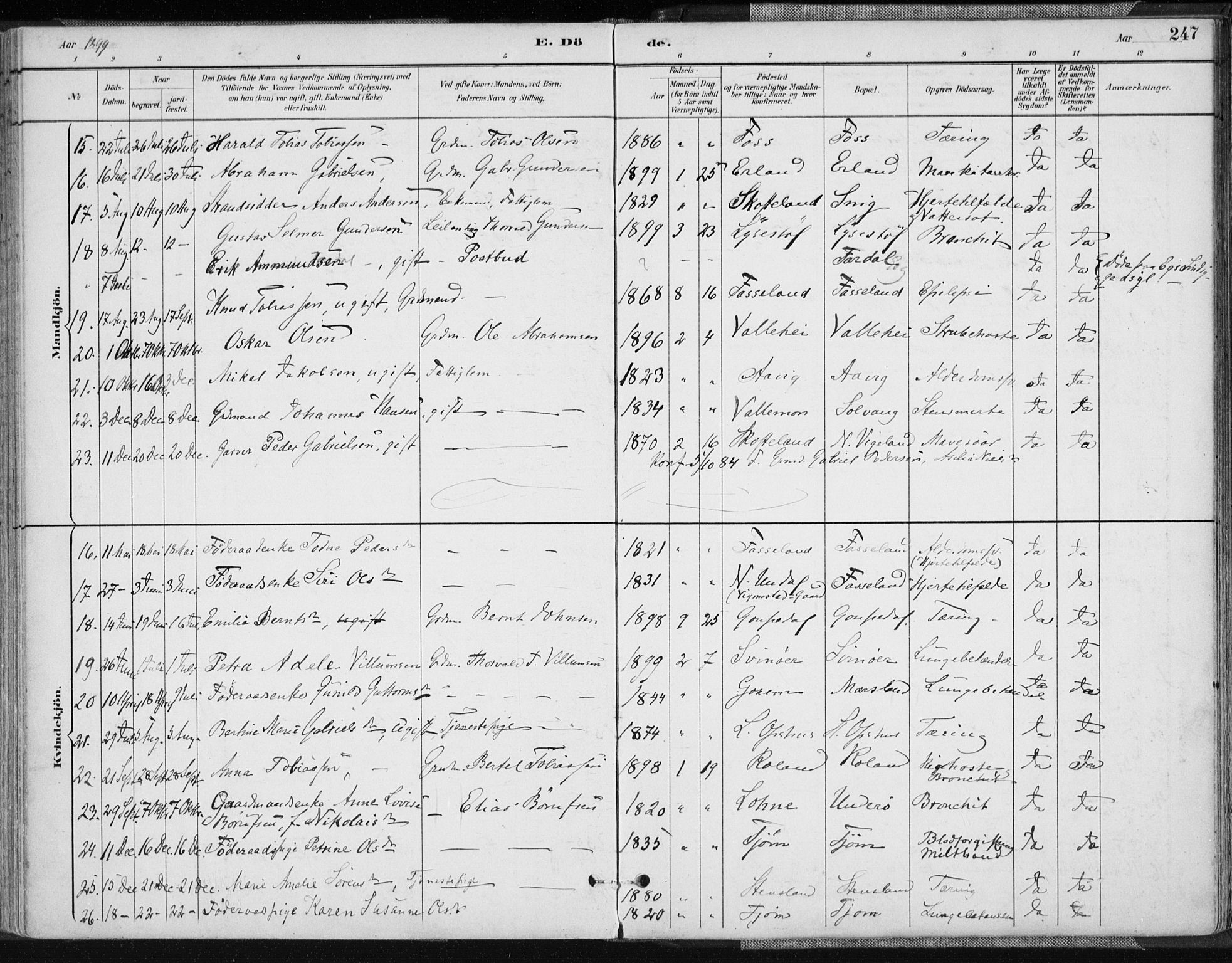 Sør-Audnedal sokneprestkontor, AV/SAK-1111-0039/F/Fa/Fab/L0010: Parish register (official) no. A 10, 1892-1913, p. 247