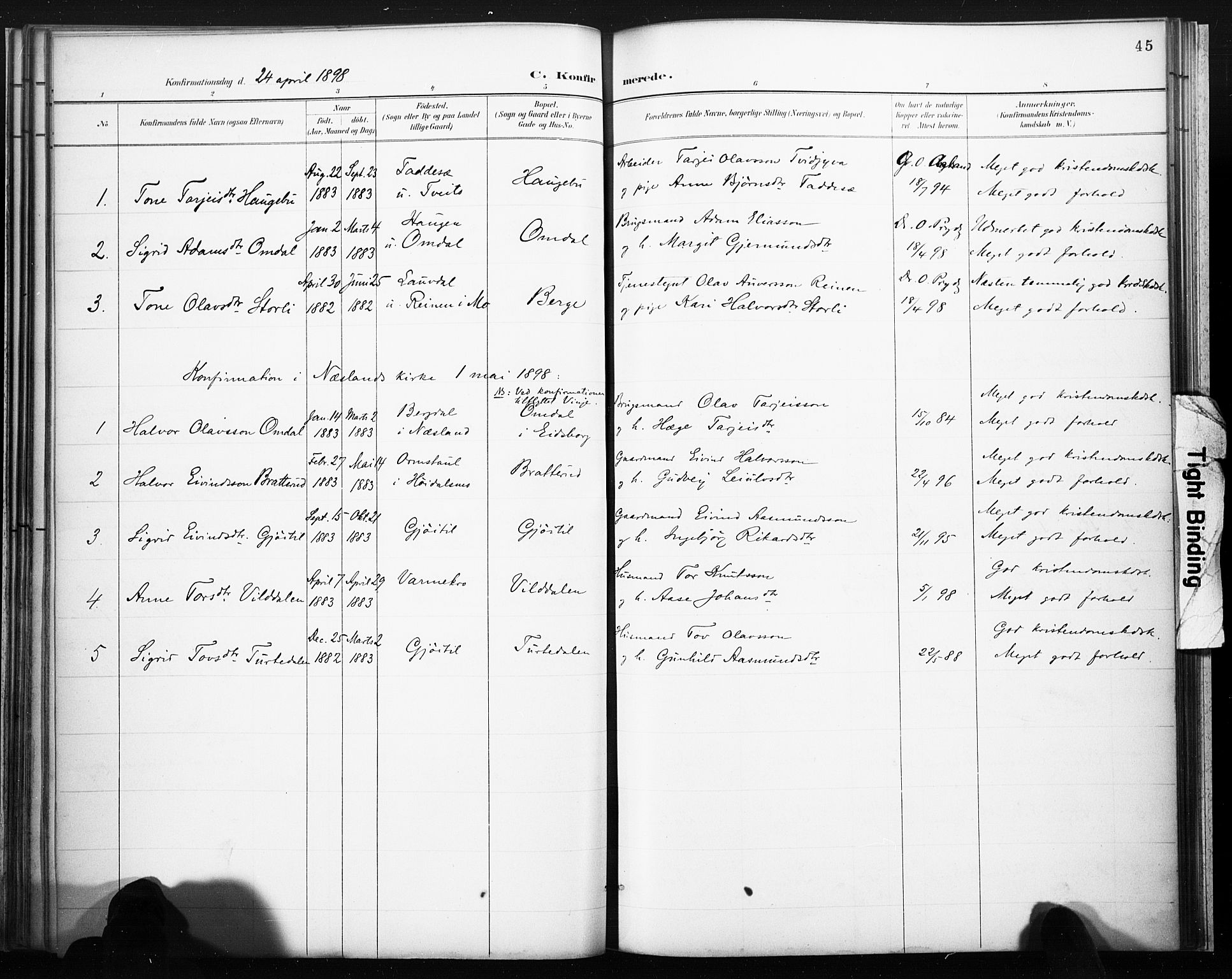 Lårdal kirkebøker, SAKO/A-284/F/Fb/L0002: Parish register (official) no. II 2, 1887-1918, p. 45