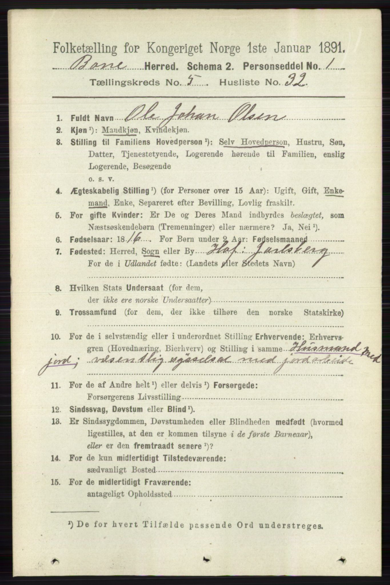 RA, 1891 census for 0717 Borre, 1891, p. 2212