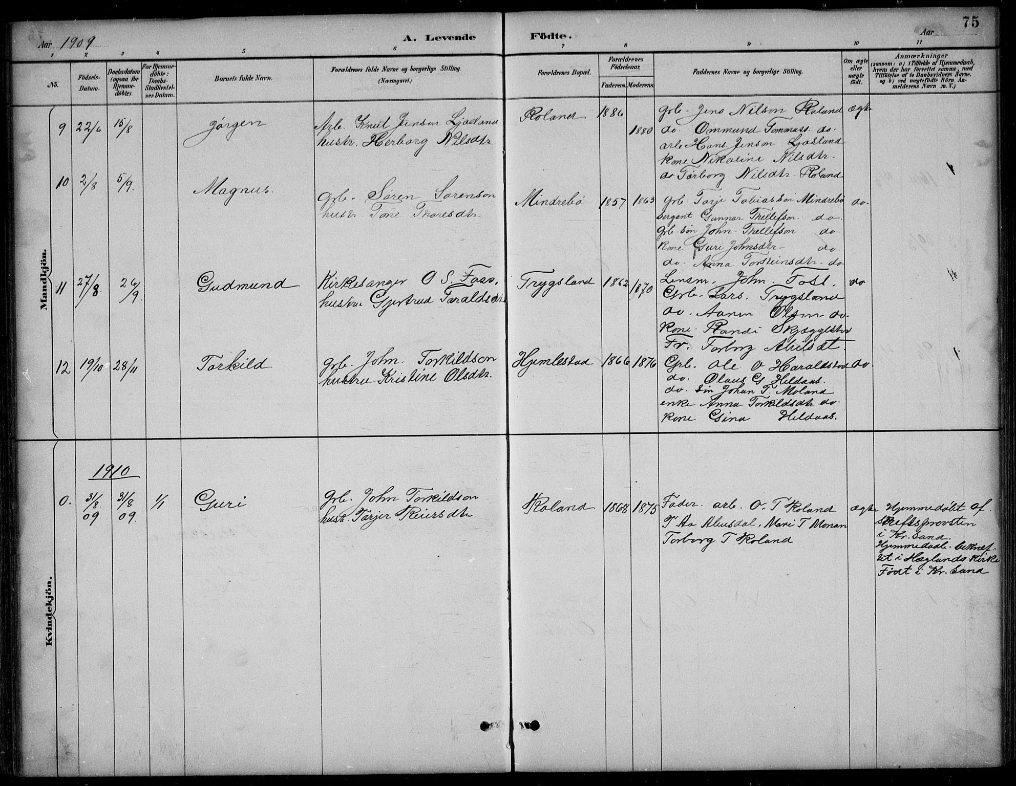 Bjelland sokneprestkontor, SAK/1111-0005/F/Fb/Fba/L0005: Parish register (copy) no. B 5, 1887-1923, p. 75