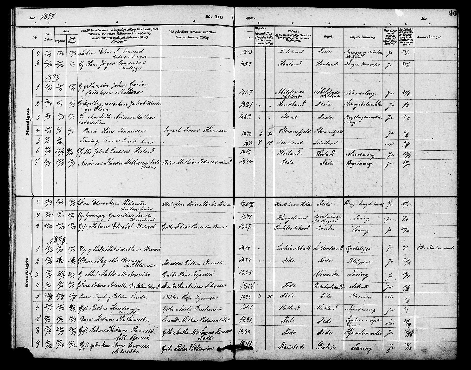 Kvinesdal sokneprestkontor, SAK/1111-0026/F/Fb/Fba/L0004: Parish register (copy) no. B 4, 1894-1909, p. 96