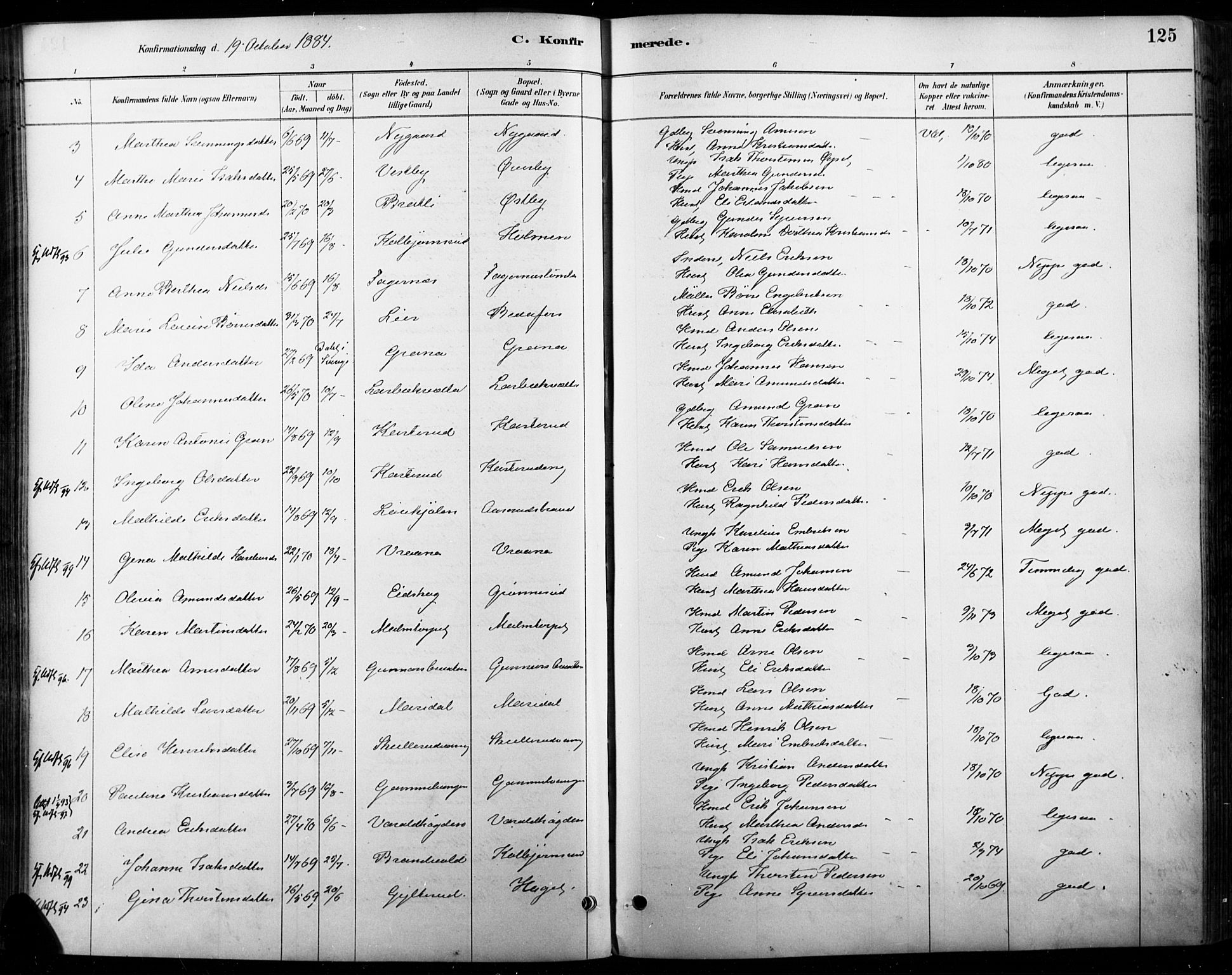 Vinger prestekontor, AV/SAH-PREST-024/H/Ha/Haa/L0015: Parish register (official) no. 15, 1881-1900, p. 125