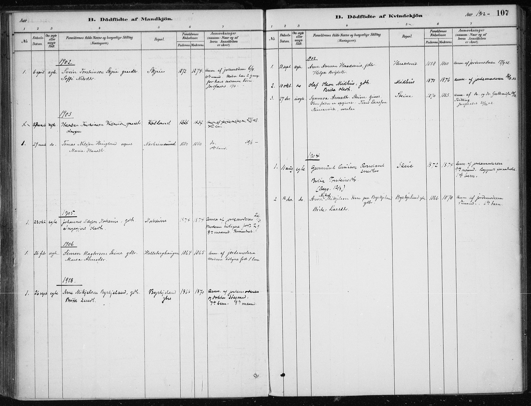 Kvam sokneprestembete, AV/SAB-A-76201/H/Haa: Parish register (official) no. B  1, 1880-1908, p. 107