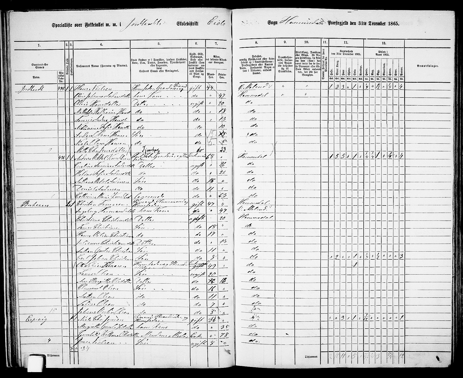 RA, 1865 census for Homedal, 1865, p. 35