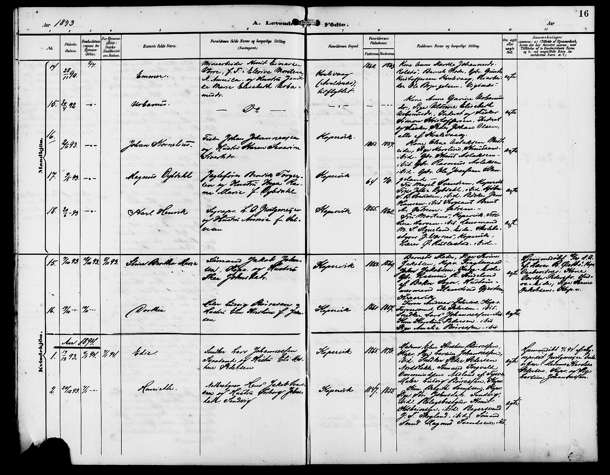 Kopervik sokneprestkontor, AV/SAST-A-101850/H/Ha/Hab/L0003: Parish register (copy) no. B 3, 1891-1909, p. 16