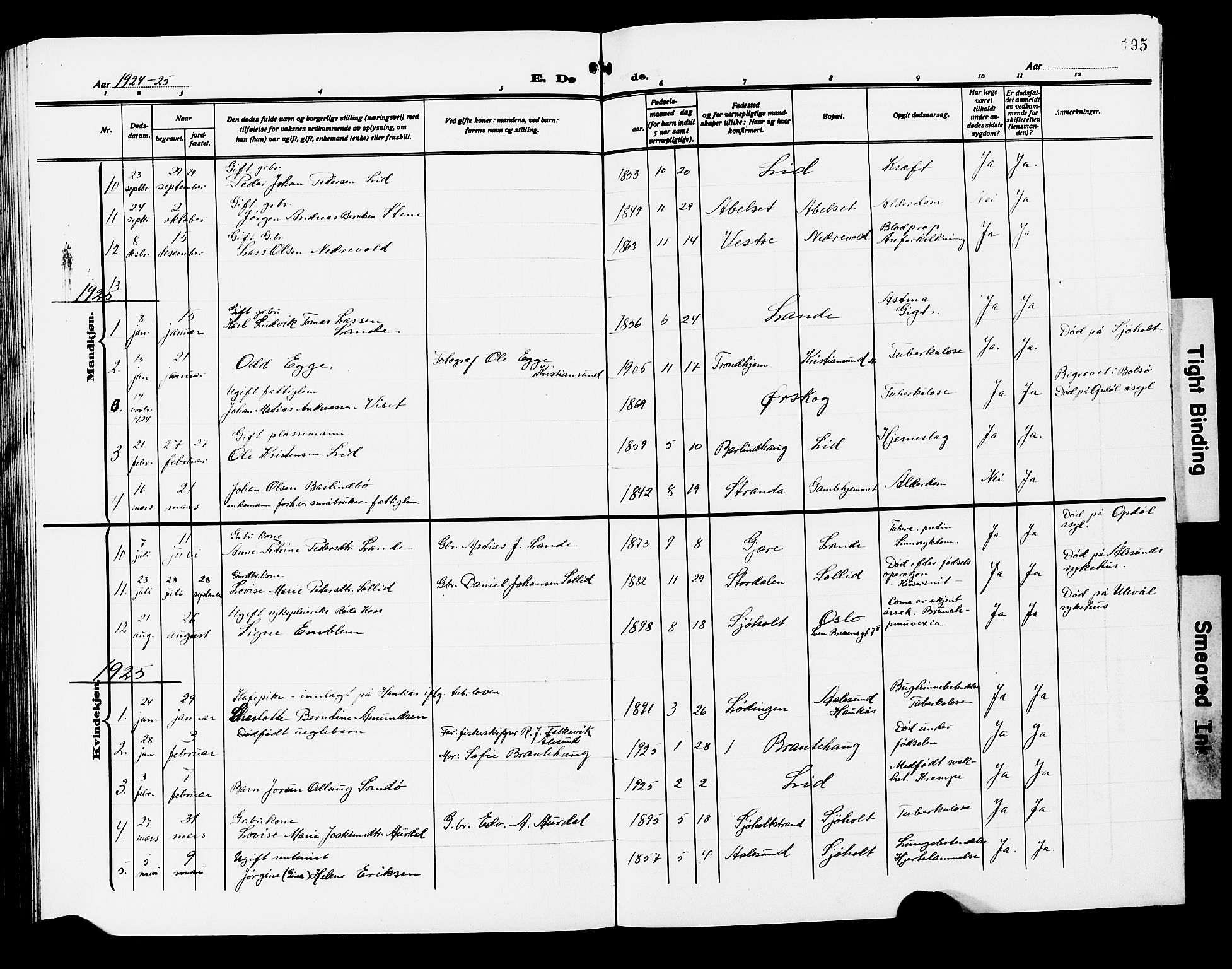 Ministerialprotokoller, klokkerbøker og fødselsregistre - Møre og Romsdal, SAT/A-1454/522/L0328: Parish register (copy) no. 522C07, 1909-1925, p. 195