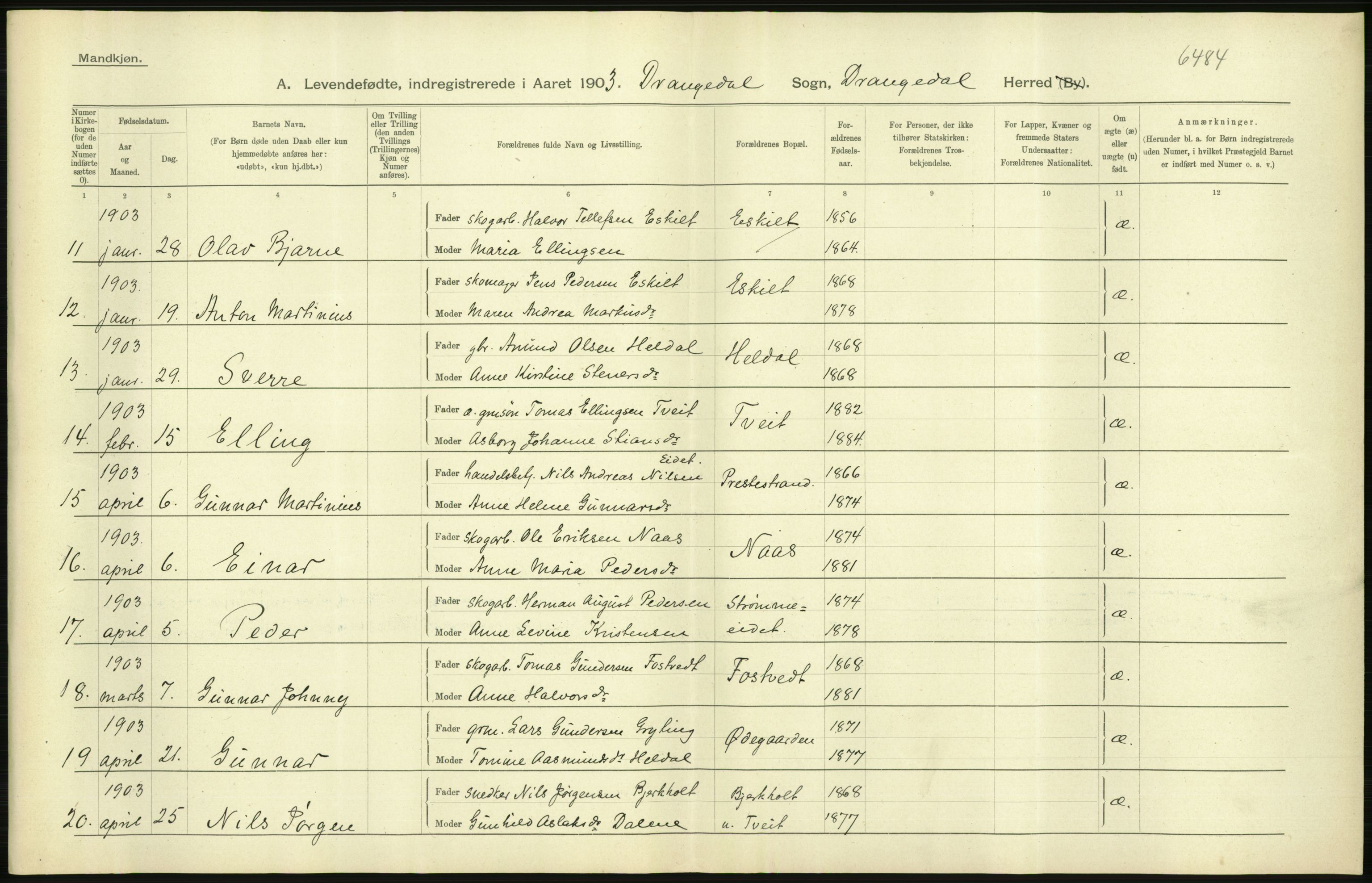 Statistisk sentralbyrå, Sosiodemografiske emner, Befolkning, AV/RA-S-2228/D/Df/Dfa/Dfaa/L0009: Bratsberg amt: Fødte, gifte, døde, 1903, p. 264