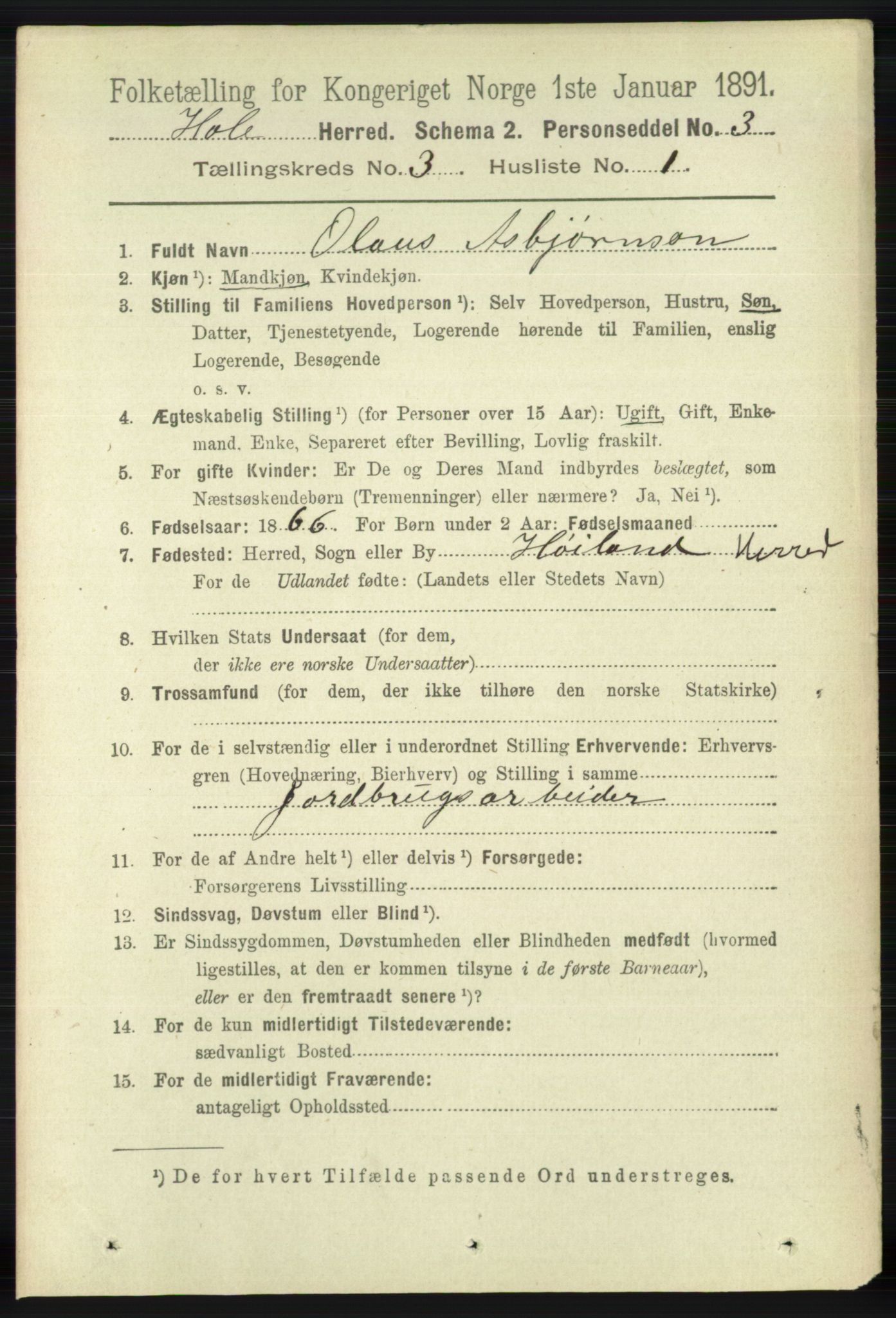 RA, 1891 census for 1128 Høle, 1891, p. 651