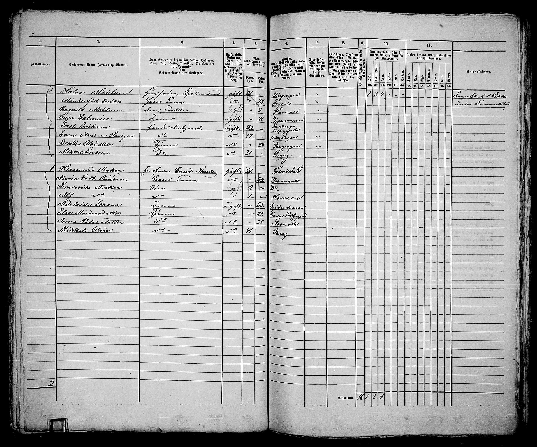 RA, 1865 census for Vang/Hamar, 1865, p. 174