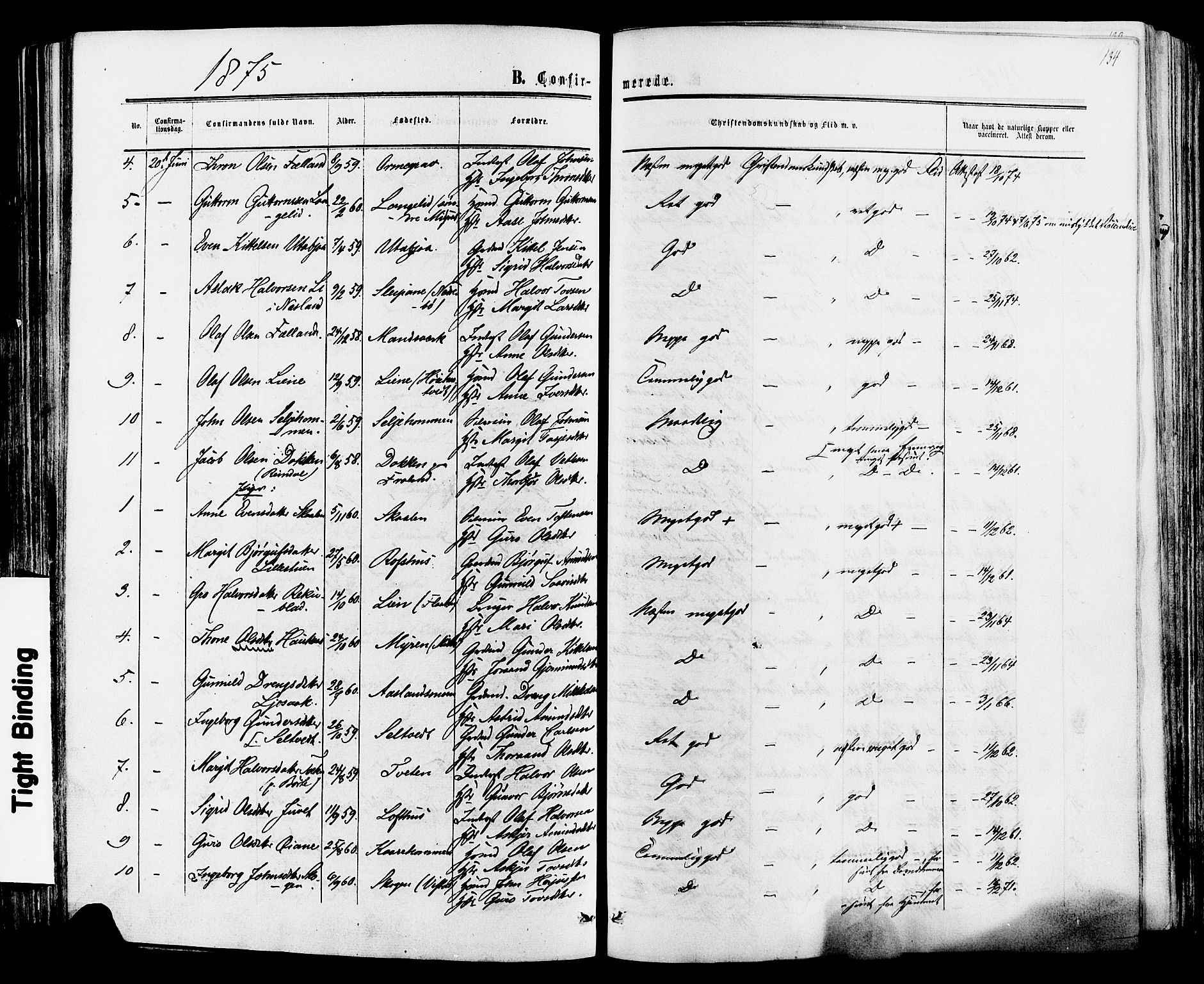 Mo kirkebøker, SAKO/A-286/F/Fa/L0006: Parish register (official) no. I 6, 1865-1885, p. 134