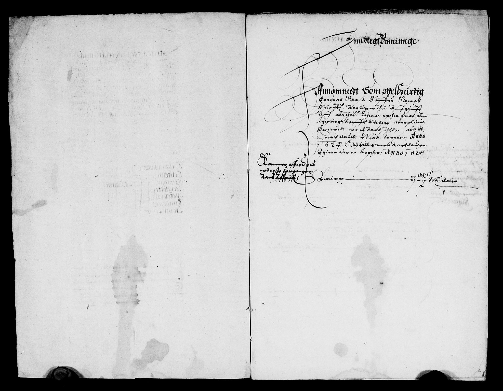 Rentekammeret inntil 1814, Reviderte regnskaper, Lensregnskaper, AV/RA-EA-5023/R/Rb/Rbz/L0015: Nordlandenes len, 1621-1625