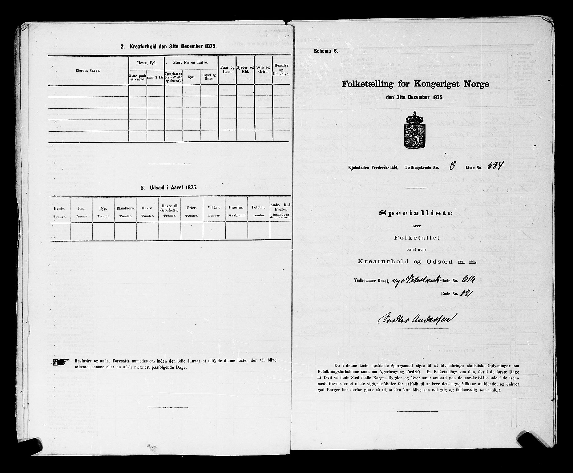 RA, 1875 census for 0101P Fredrikshald, 1875, p. 1419