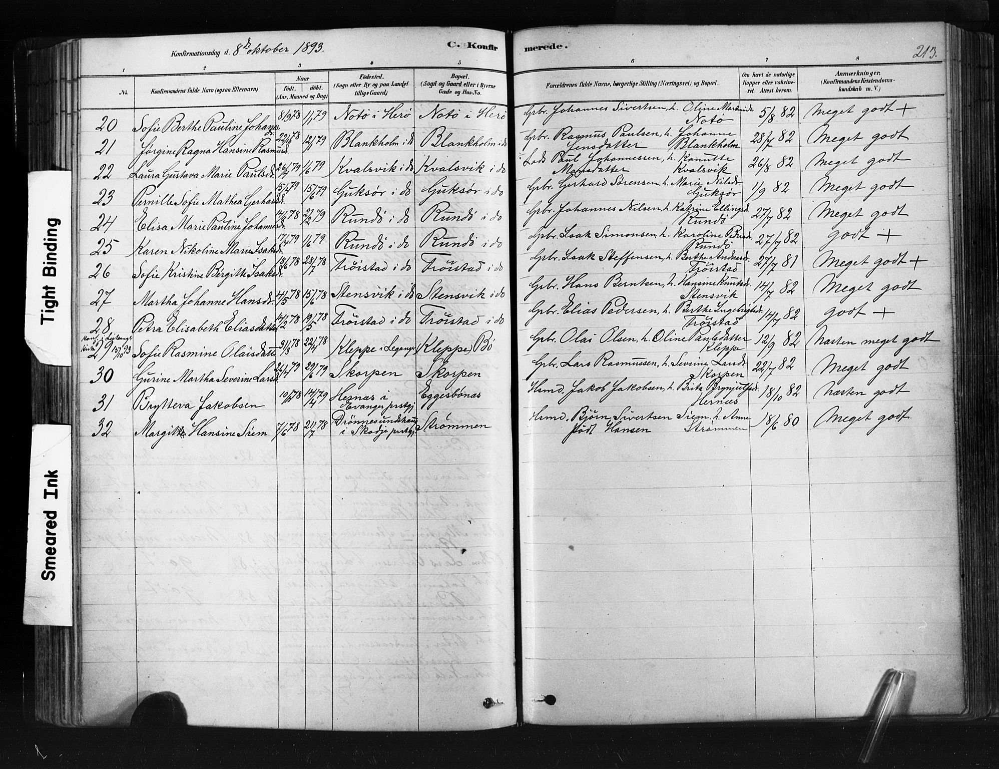 Ministerialprotokoller, klokkerbøker og fødselsregistre - Møre og Romsdal, SAT/A-1454/507/L0073: Parish register (official) no. 507A08, 1878-1904, p. 213