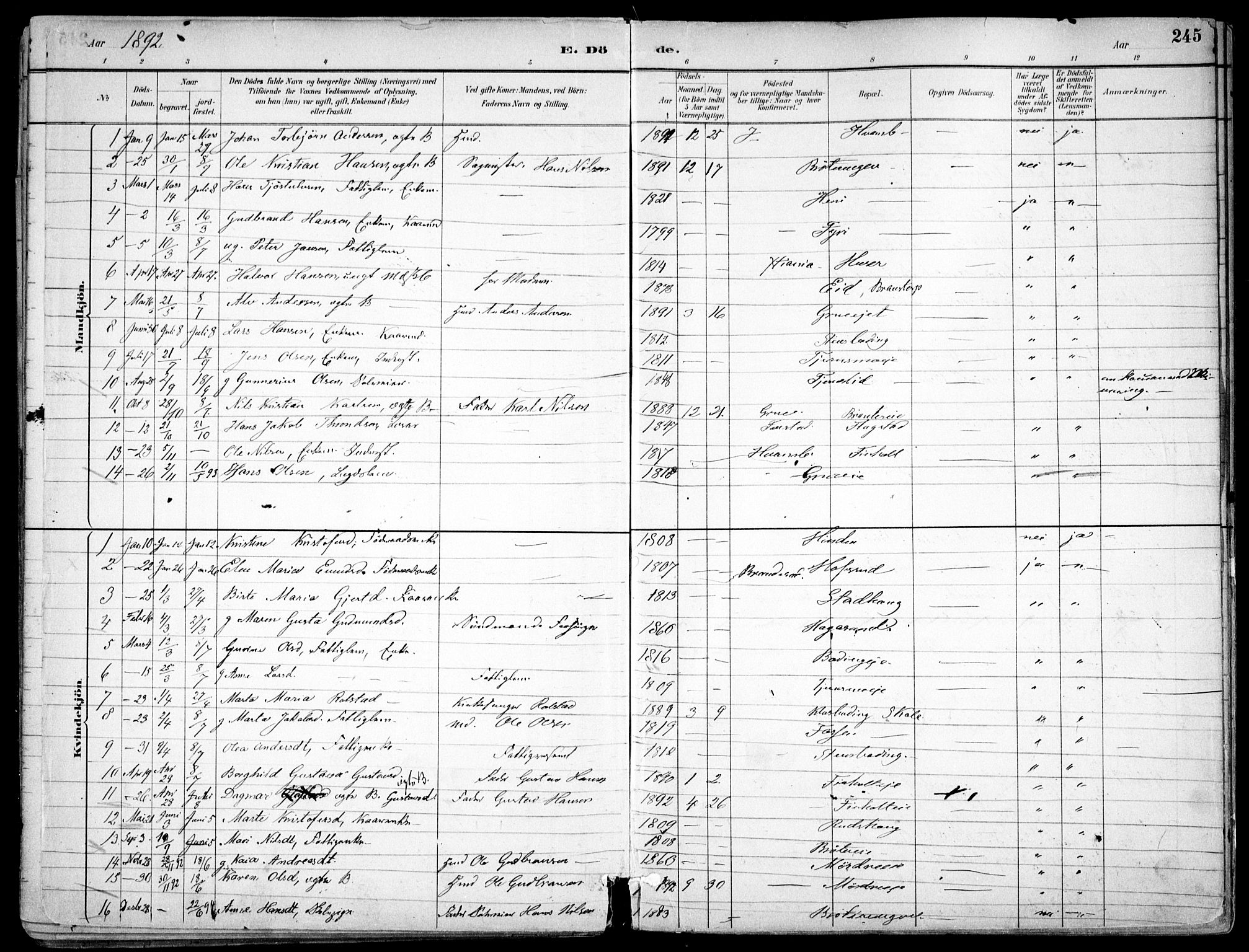 Nes prestekontor Kirkebøker, SAO/A-10410/F/Fc/L0002: Parish register (official) no. IIi 2, 1882-1916, p. 245