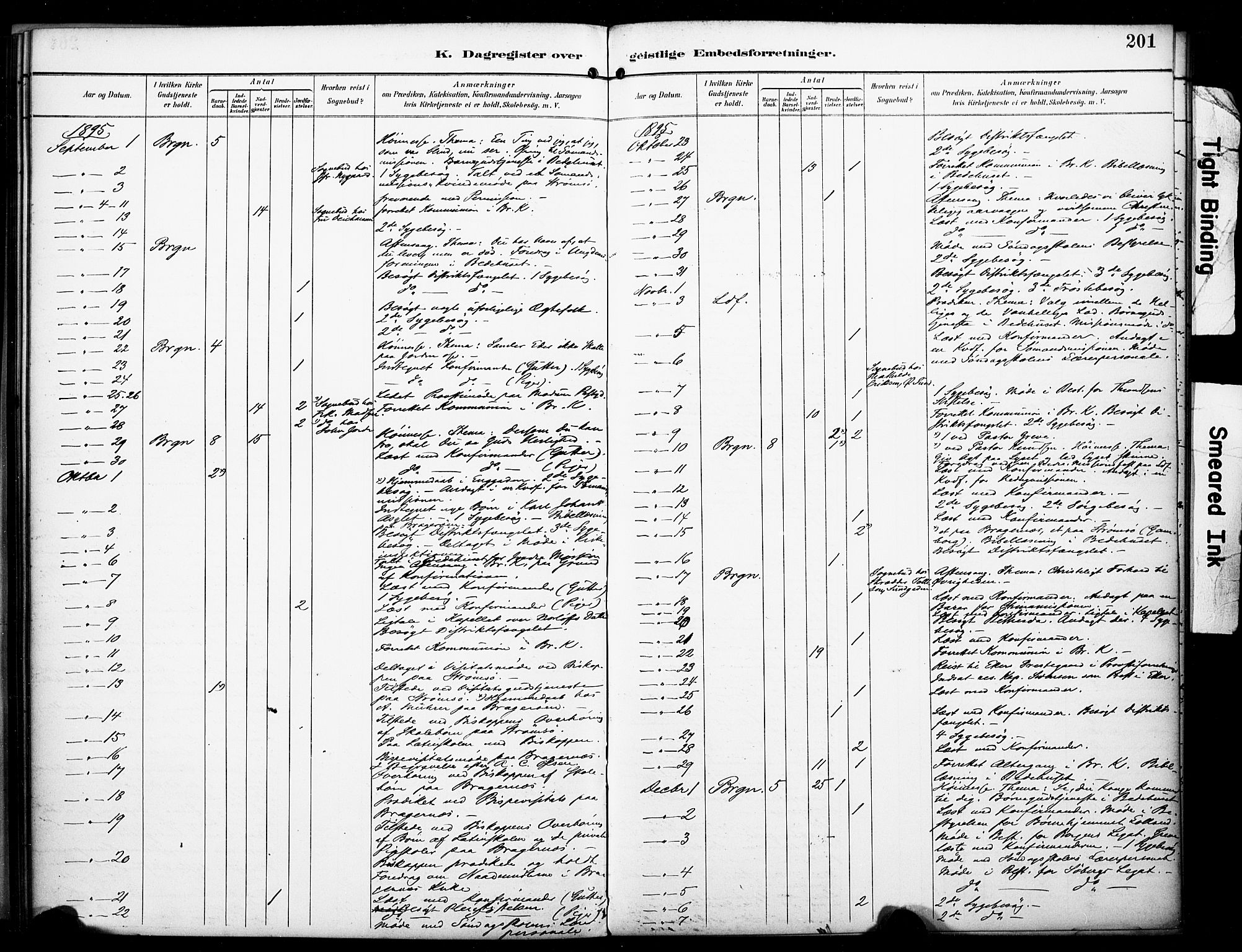 Bragernes kirkebøker, SAKO/A-6/F/Fc/L0006: Parish register (official) no. III 6, 1888-1899, p. 201
