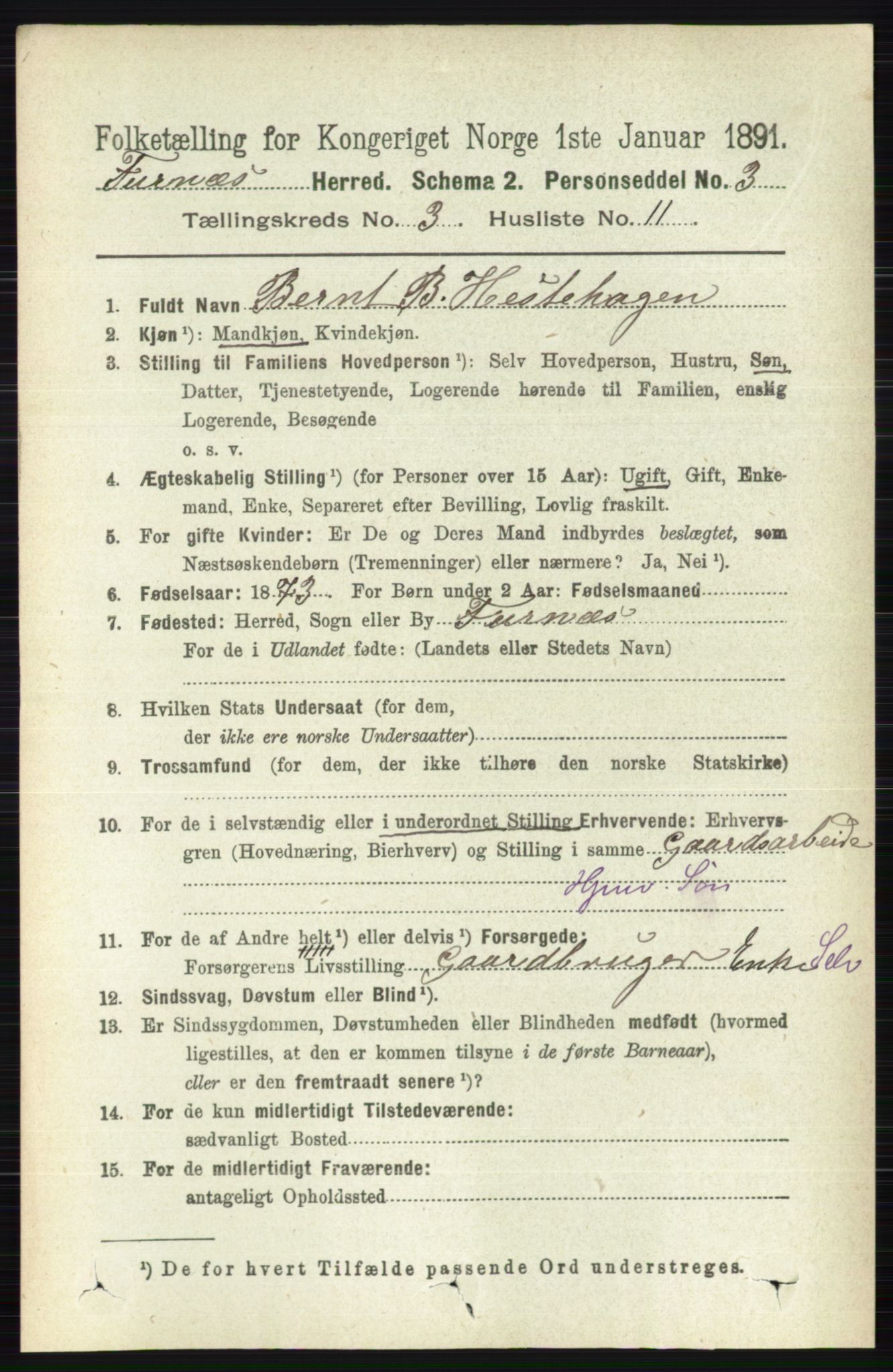 RA, Census 1891 for 0413 Furnes herred, 1891, p. 1693