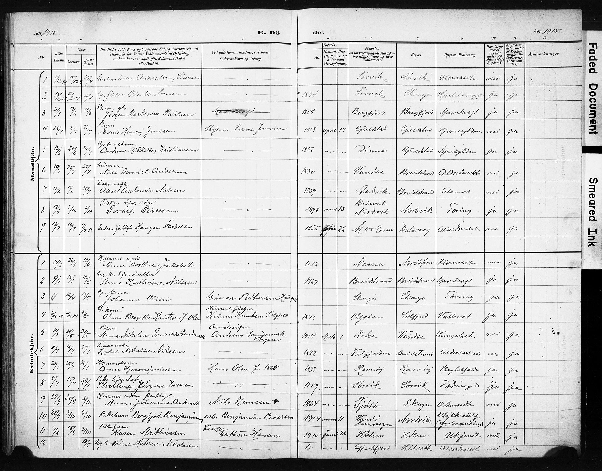 Ministerialprotokoller, klokkerbøker og fødselsregistre - Nordland, AV/SAT-A-1459/836/L0538: Parish register (copy) no. 836C02, 1901-1917