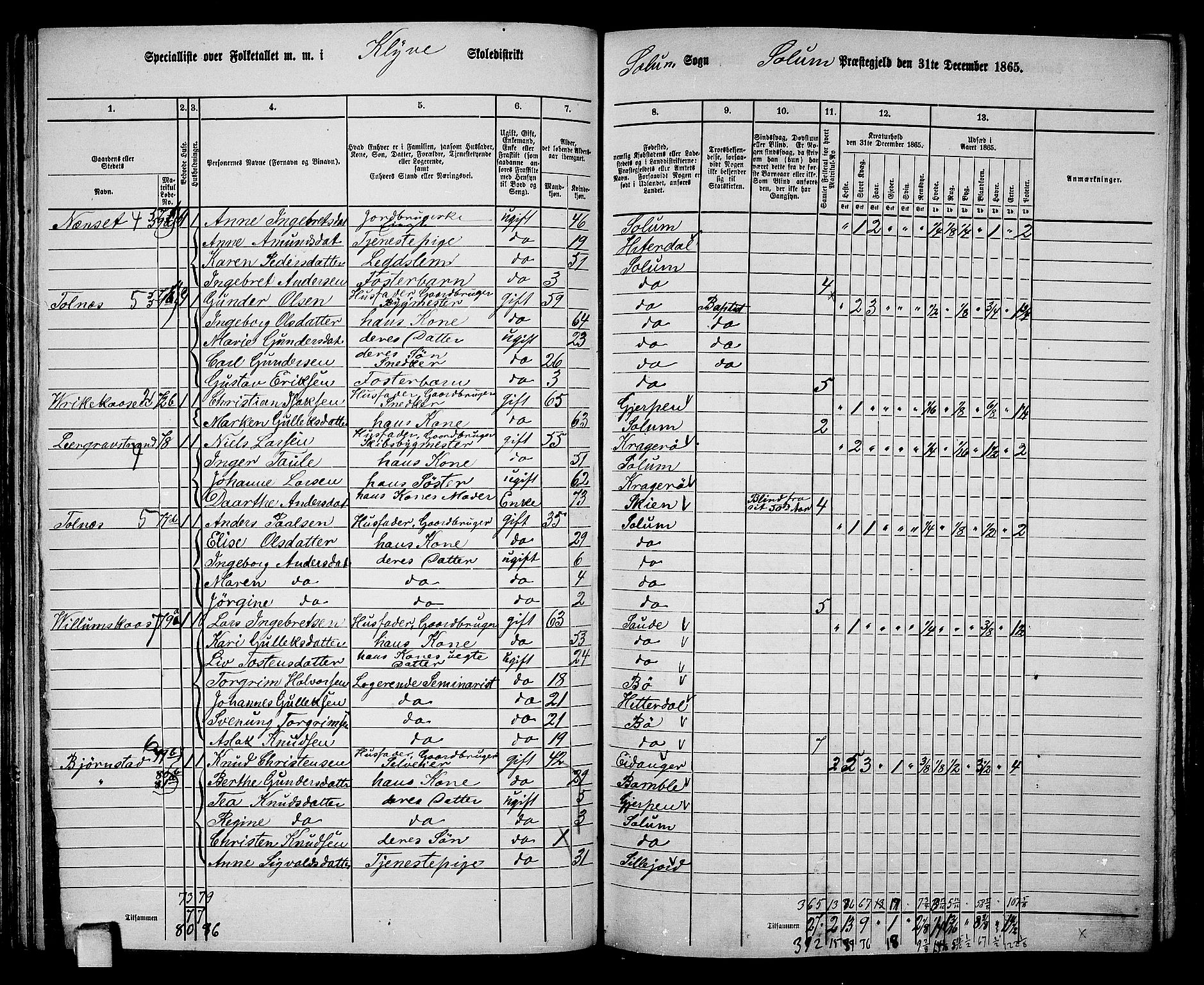 RA, 1865 census for Solum, 1865, p. 84