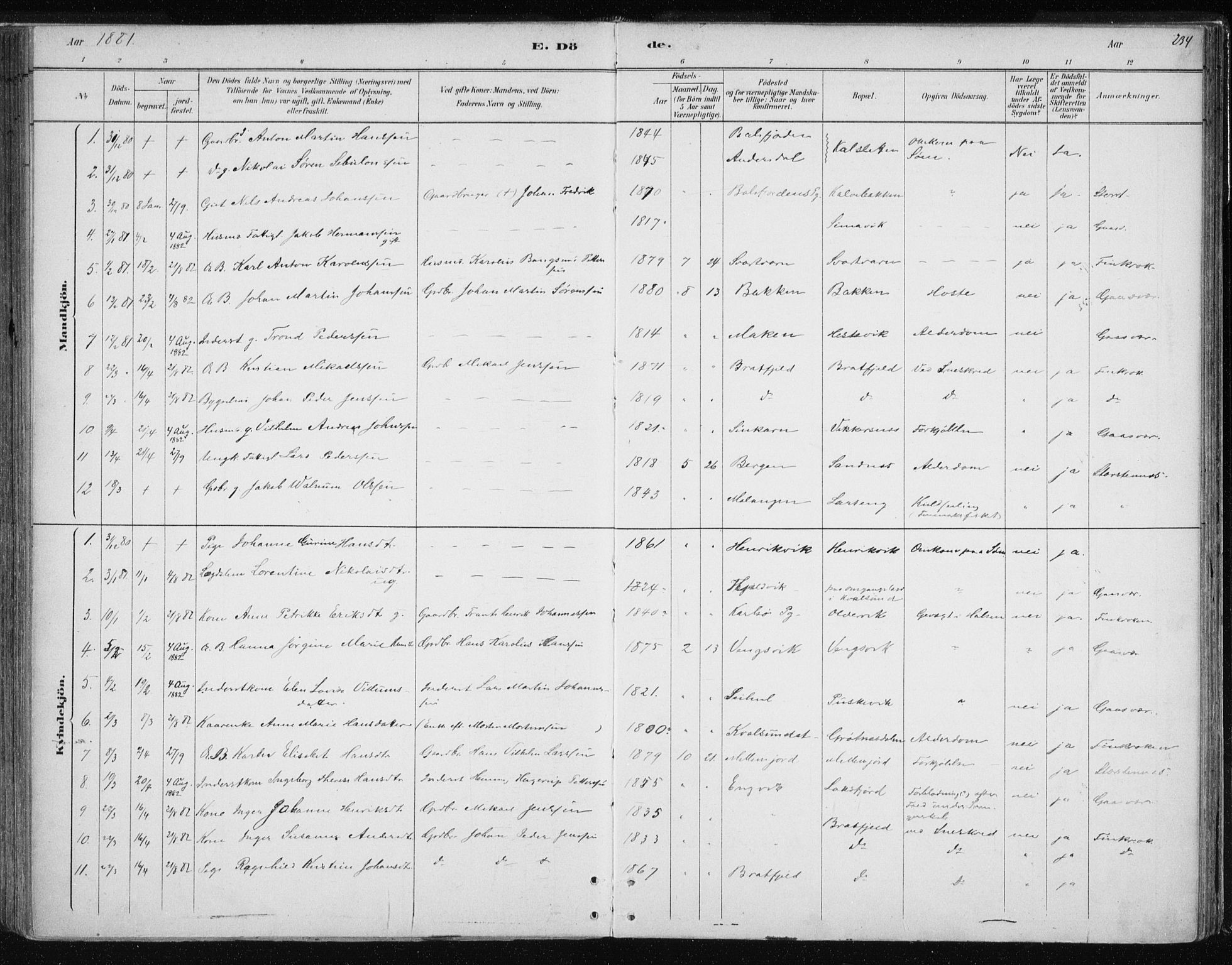 Tromsøysund sokneprestkontor, SATØ/S-1304/G/Ga/L0004kirke: Parish register (official) no. 4, 1880-1888, p. 234