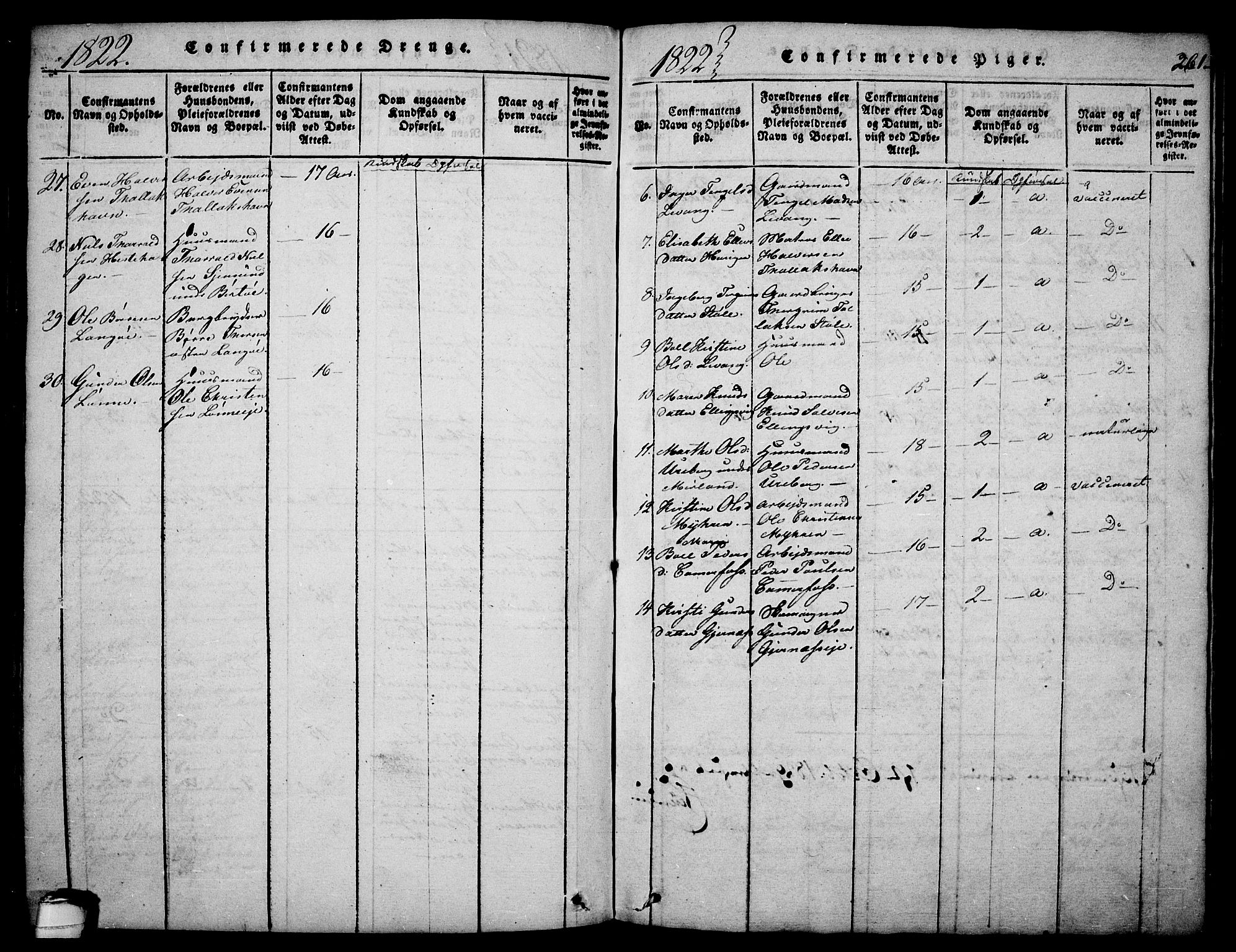 Sannidal kirkebøker, AV/SAKO-A-296/F/Fa/L0004: Parish register (official) no. 4, 1814-1829, p. 261