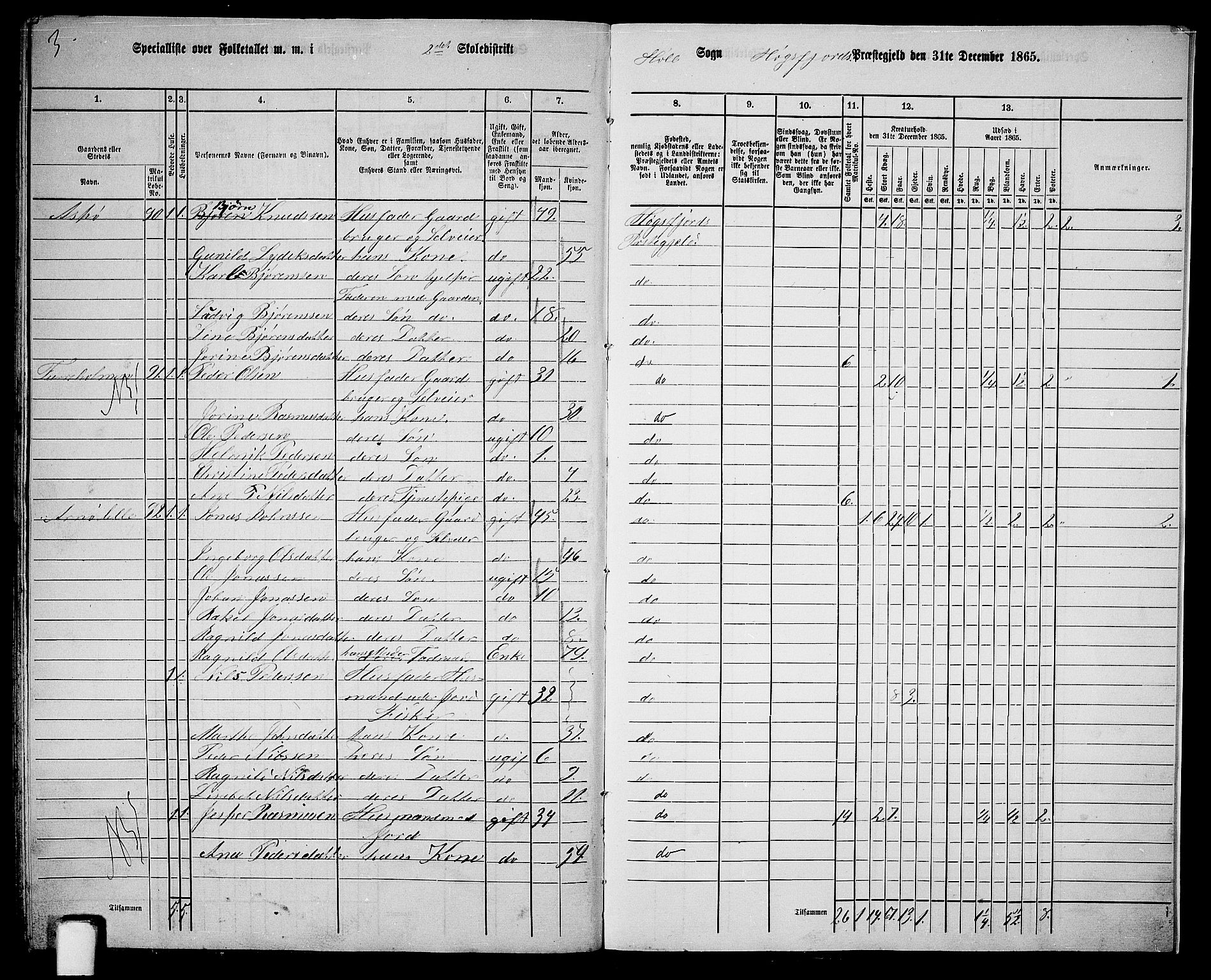 RA, 1865 census for Høgsfjord, 1865, p. 145