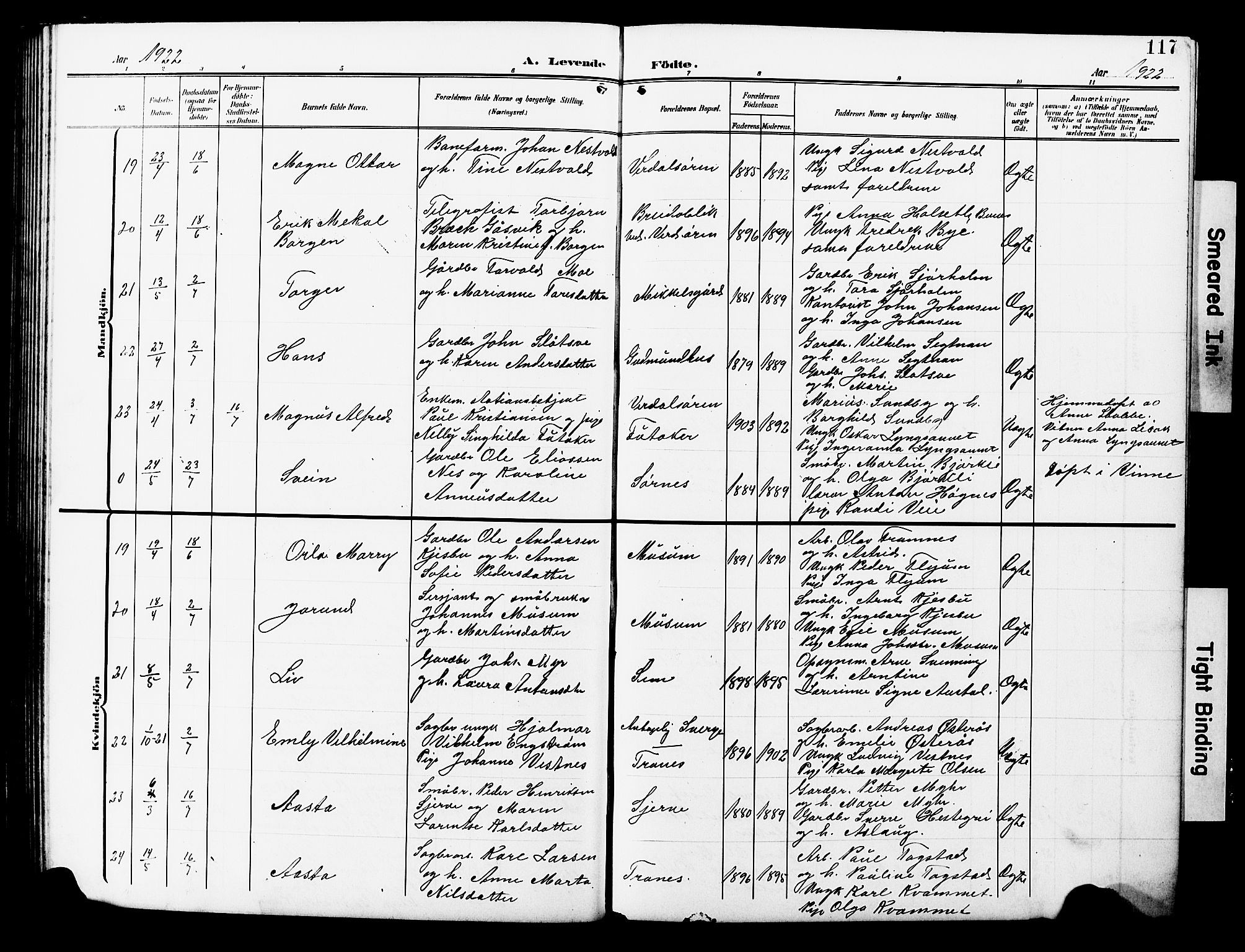 Ministerialprotokoller, klokkerbøker og fødselsregistre - Nord-Trøndelag, AV/SAT-A-1458/723/L0258: Parish register (copy) no. 723C06, 1908-1927, p. 117