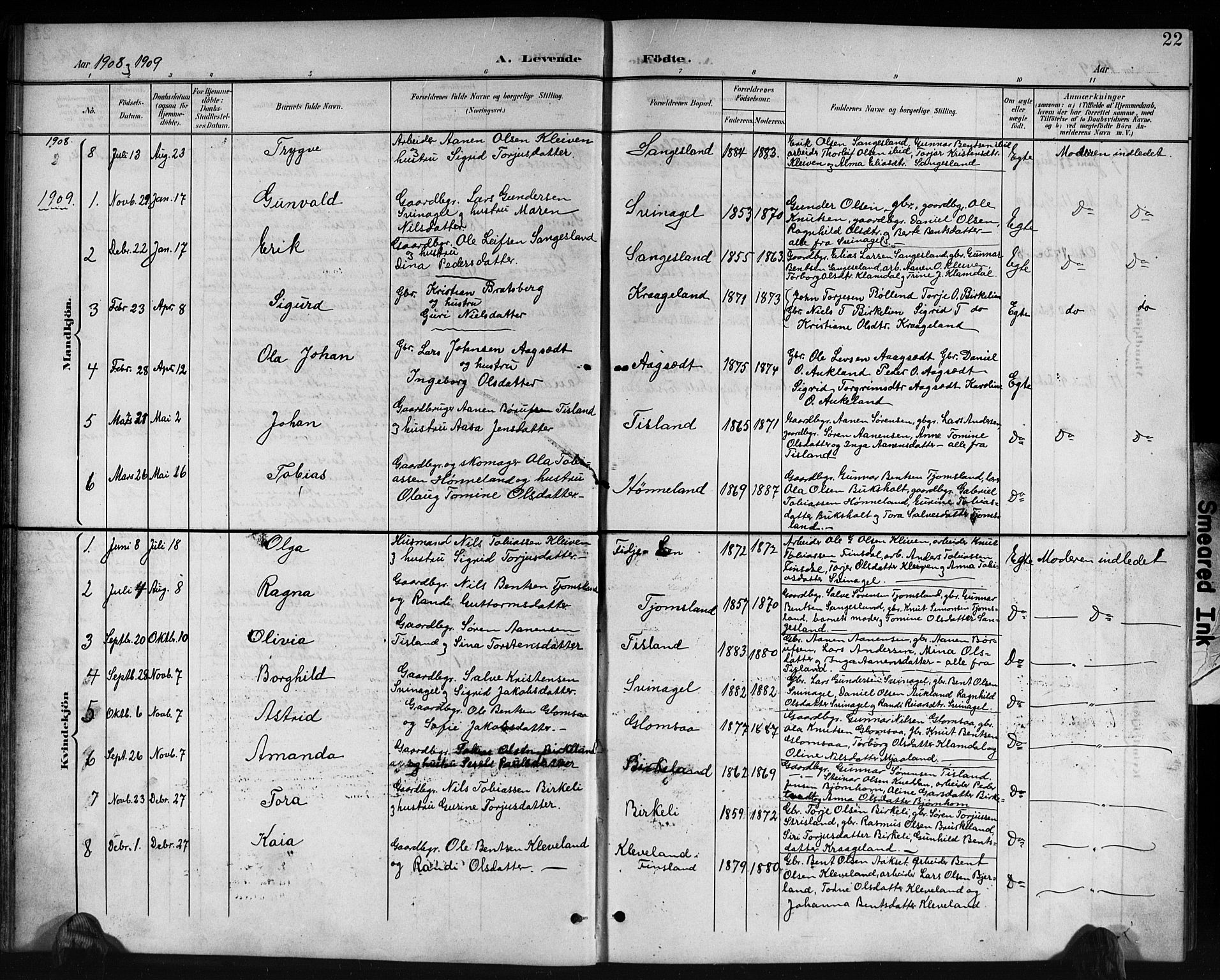 Holum sokneprestkontor, SAK/1111-0022/F/Fb/Fbb/L0004: Parish register (copy) no. B 4, 1899-1920, p. 22