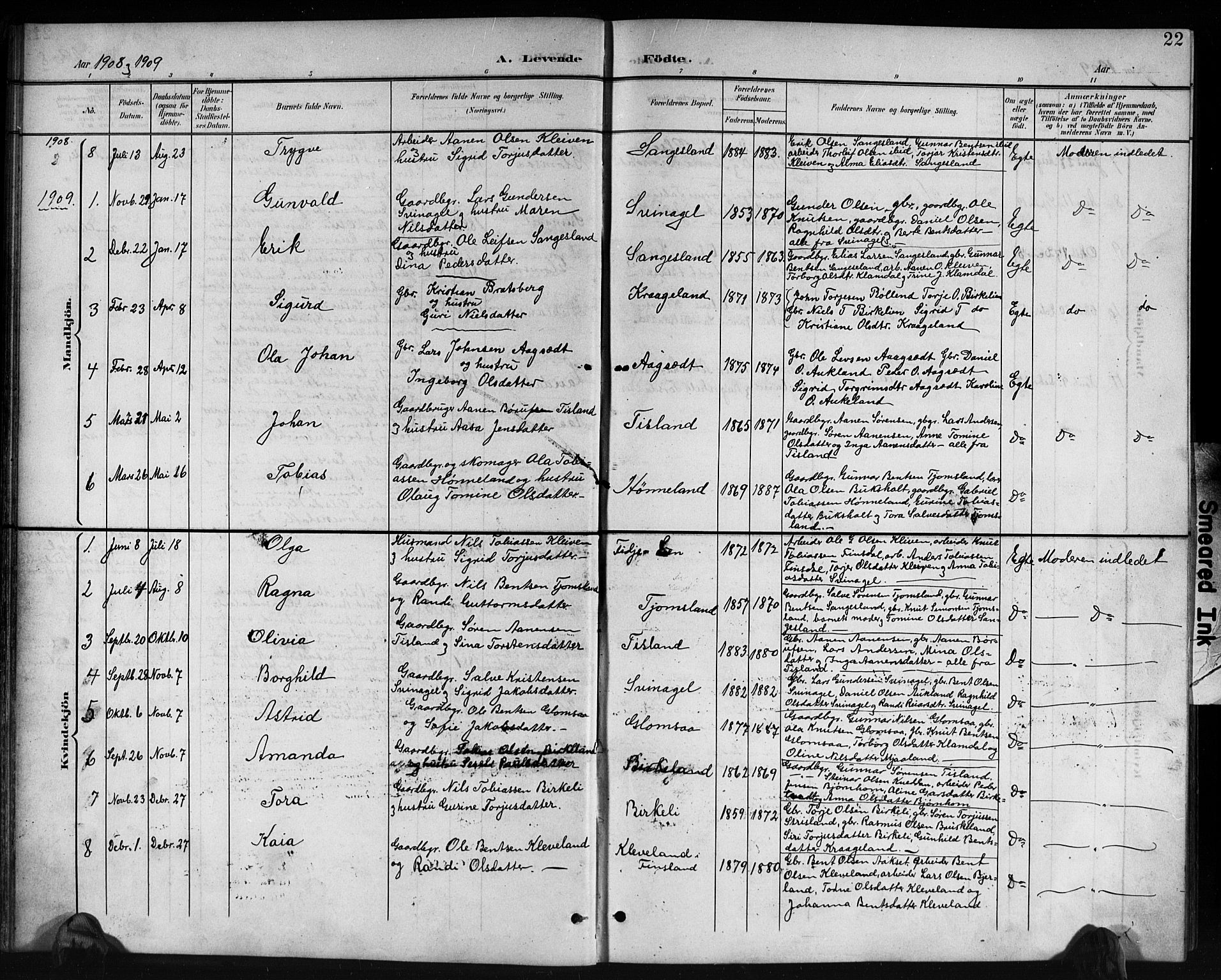Holum sokneprestkontor, AV/SAK-1111-0022/F/Fb/Fbb/L0004: Parish register (copy) no. B 4, 1899-1920, p. 22