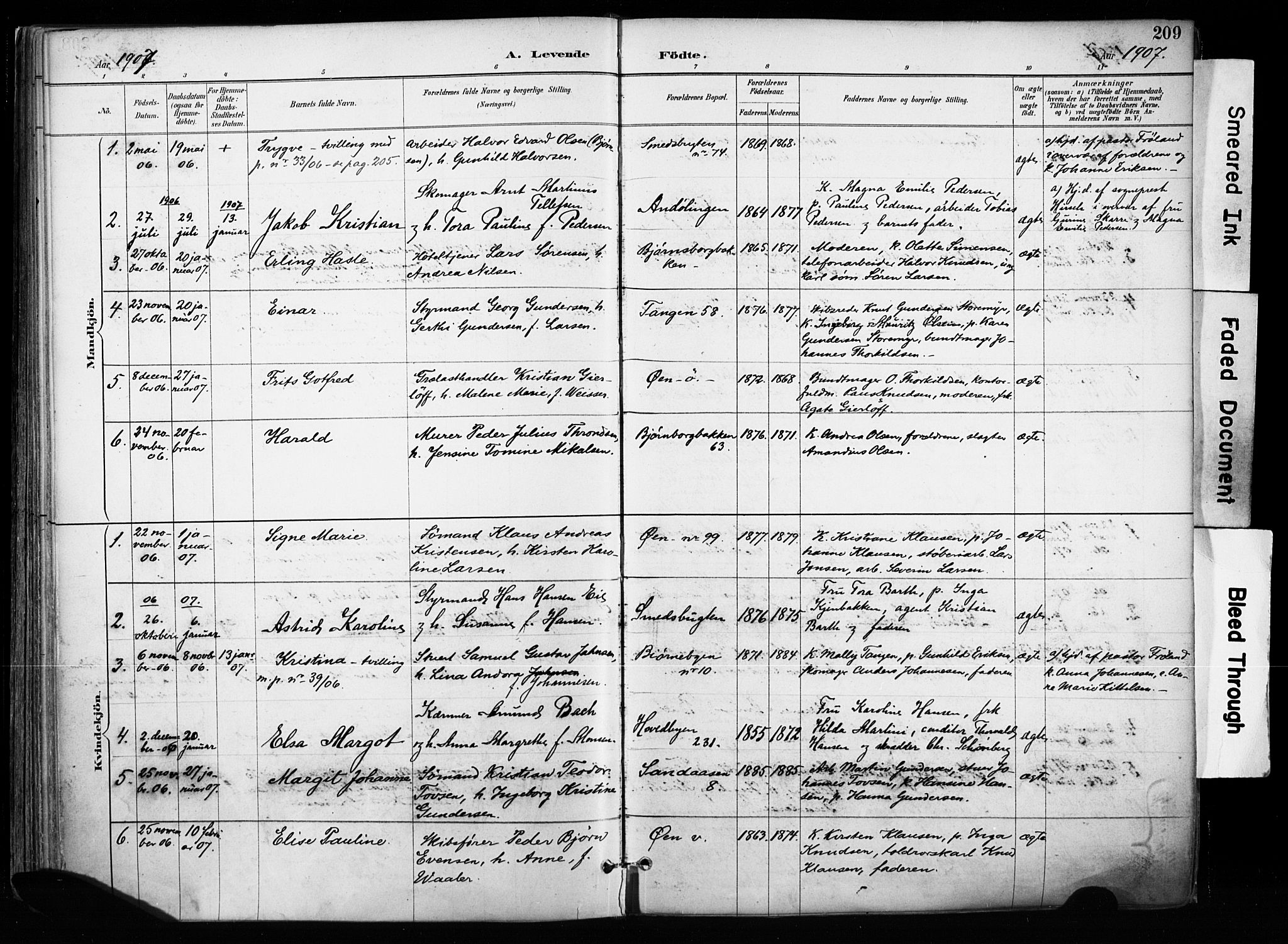 Kragerø kirkebøker, SAKO/A-278/F/Fa/L0013: Parish register (official) no. 13, 1887-1915, p. 209