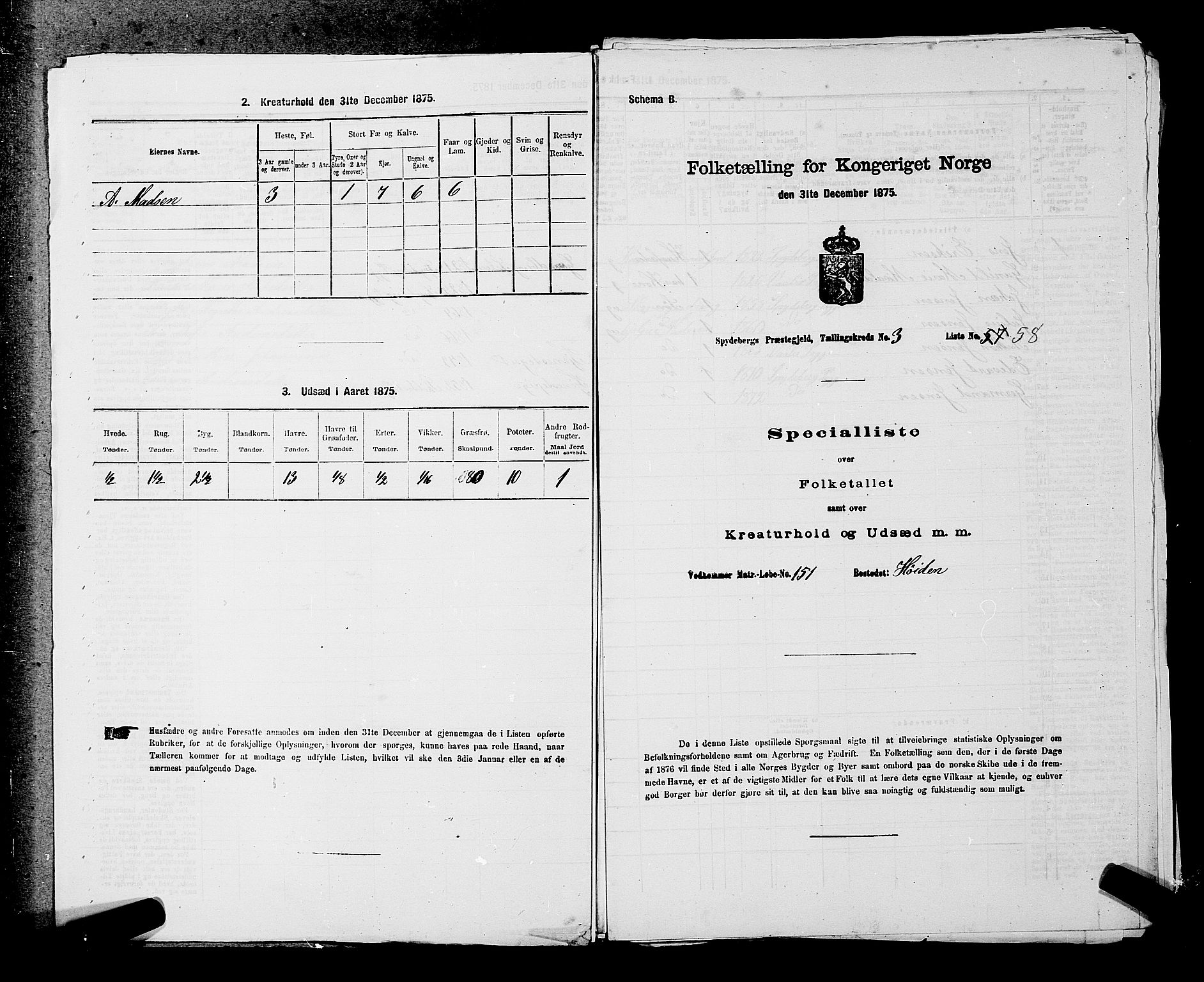 RA, 1875 census for 0123P Spydeberg, 1875, p. 411