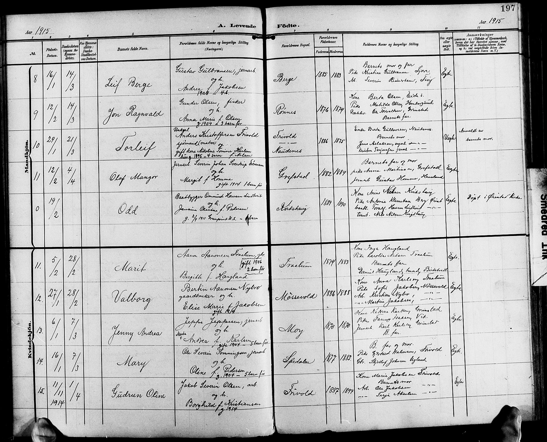 Fjære sokneprestkontor, SAK/1111-0011/F/Fb/L0012: Parish register (copy) no. B 12, 1902-1925, p. 197