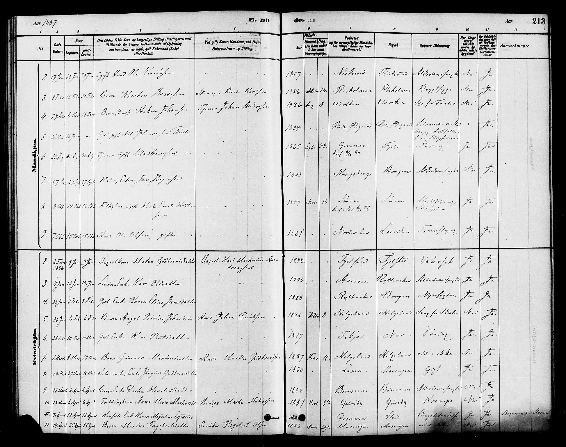 Hole kirkebøker, SAKO/A-228/F/Fa/L0008: Parish register (official) no. I 8, 1878-1891, p. 213