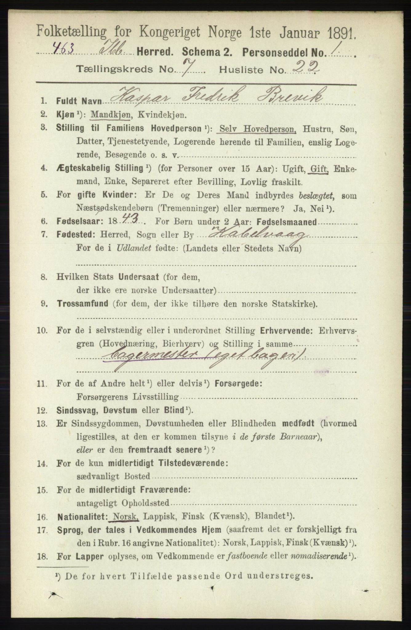 RA, 1891 census for 1917 Ibestad, 1891, p. 4305