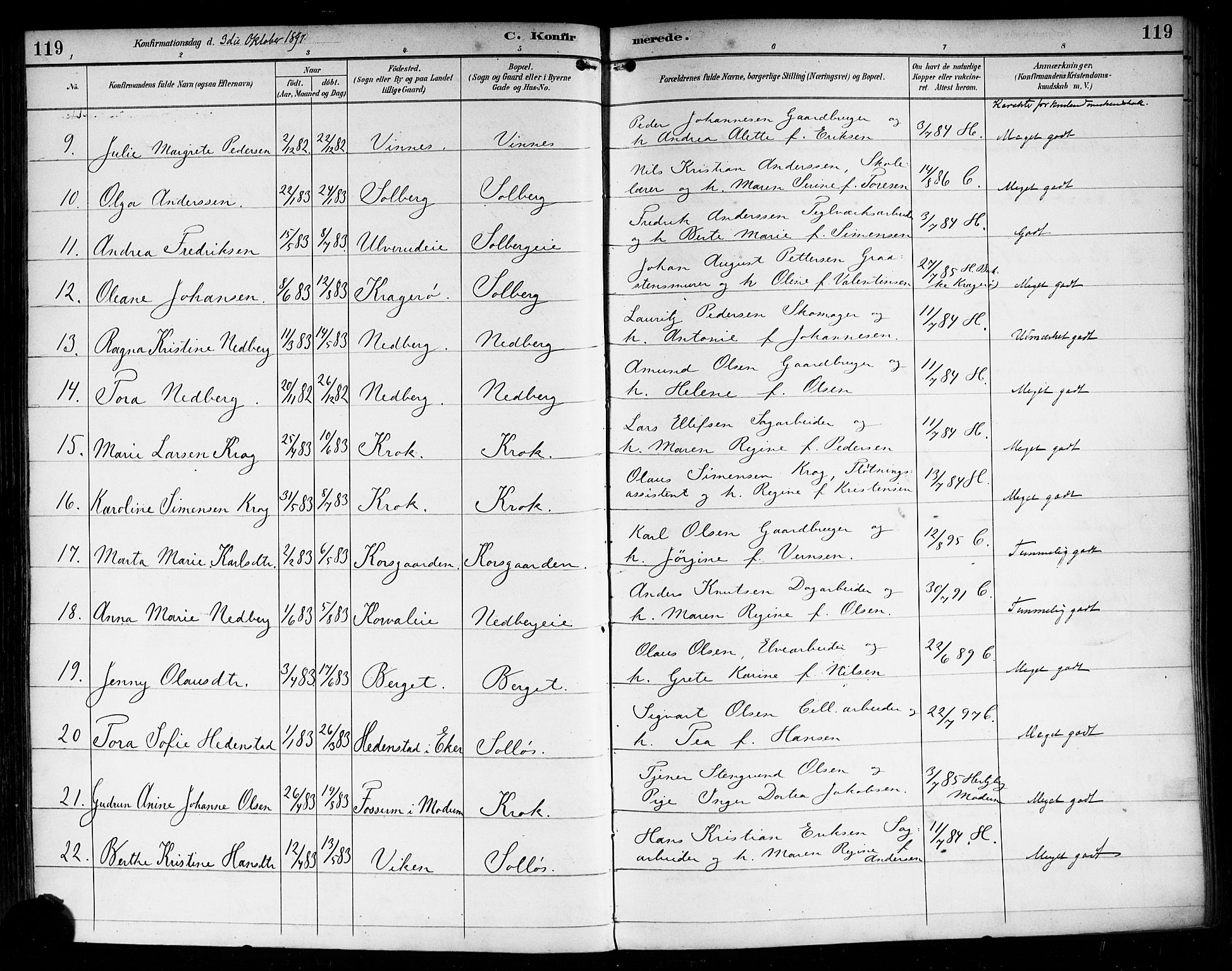 Nedre Eiker kirkebøker, AV/SAKO-A-612/F/Fa/L0004: Parish register (official) no. 4, 1893-1898, p. 119