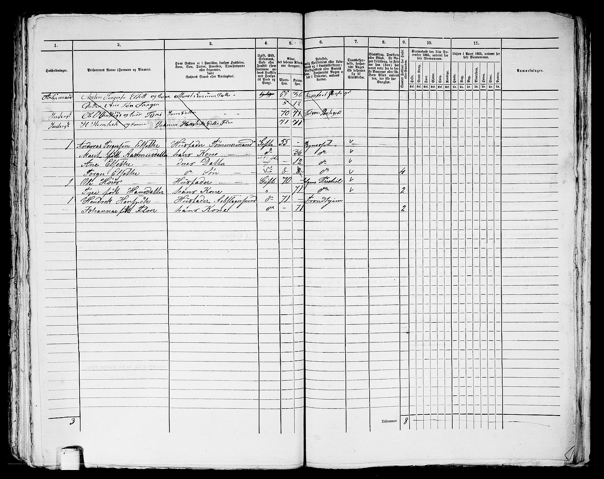 RA, 1865 census for Trondheim, 1865, p. 2048