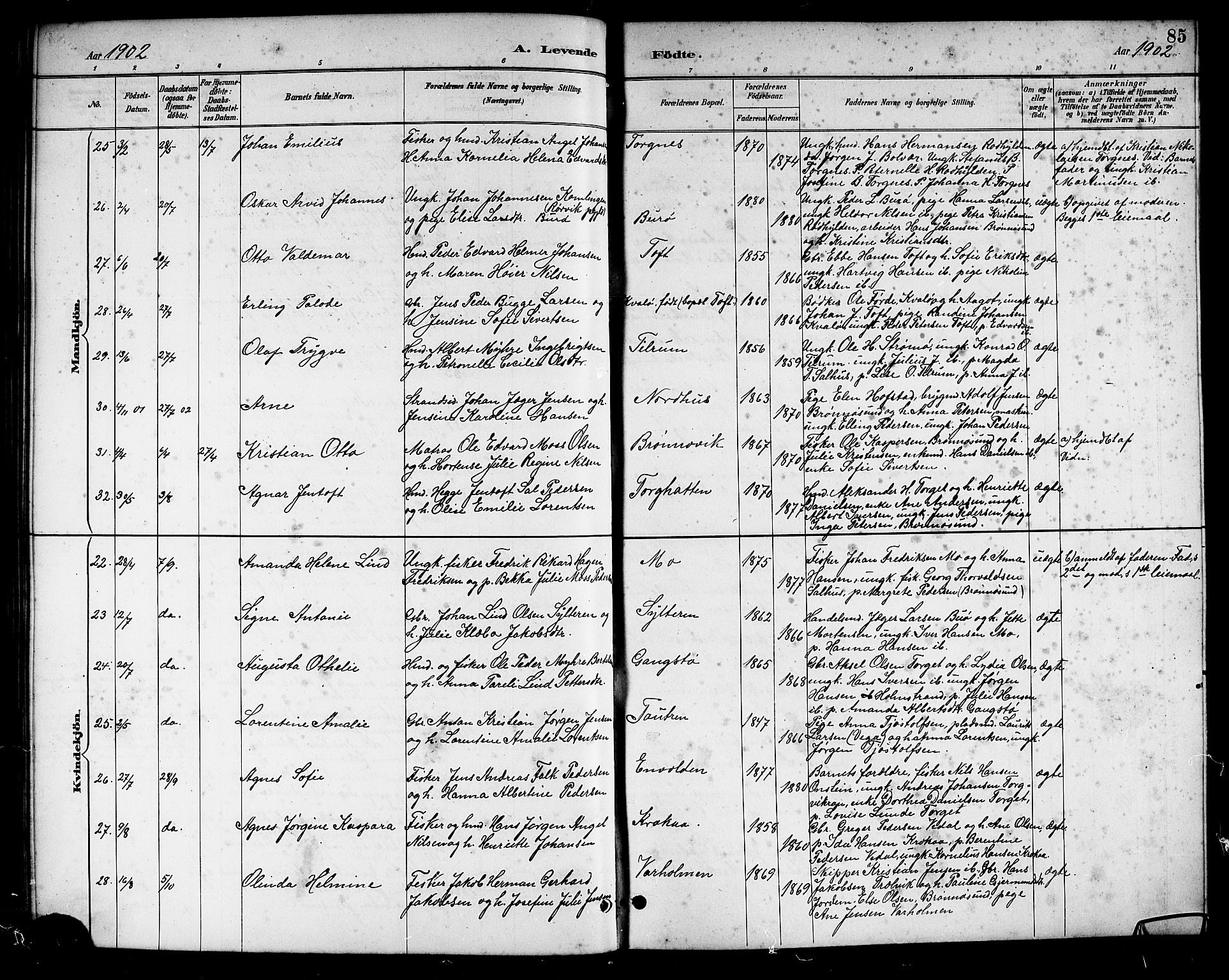 Ministerialprotokoller, klokkerbøker og fødselsregistre - Nordland, AV/SAT-A-1459/813/L0213: Parish register (copy) no. 813C05, 1887-1903, p. 85