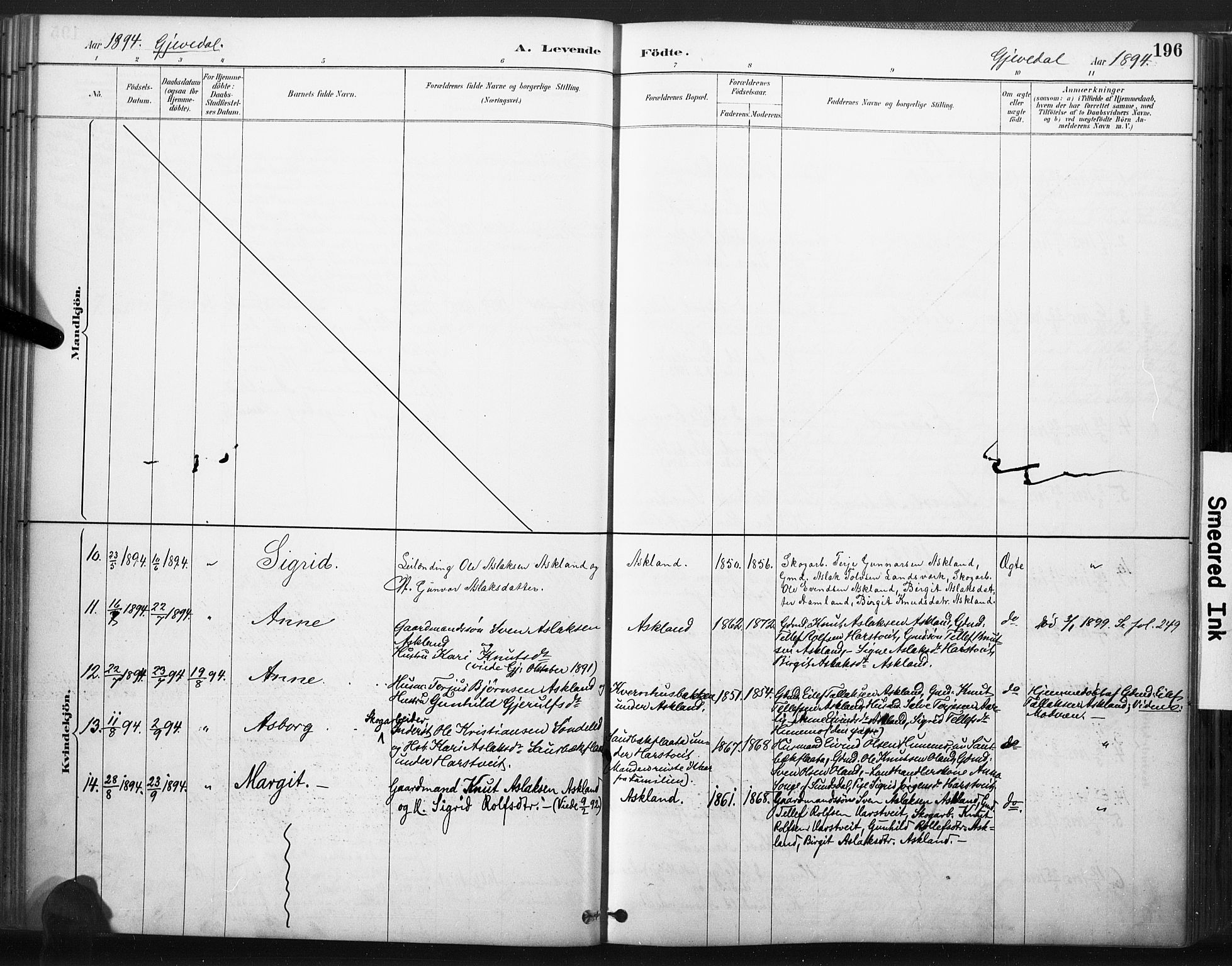 Åmli sokneprestkontor, SAK/1111-0050/F/Fa/Fac/L0010: Parish register (official) no. A 10 /2, 1885-1899, p. 196