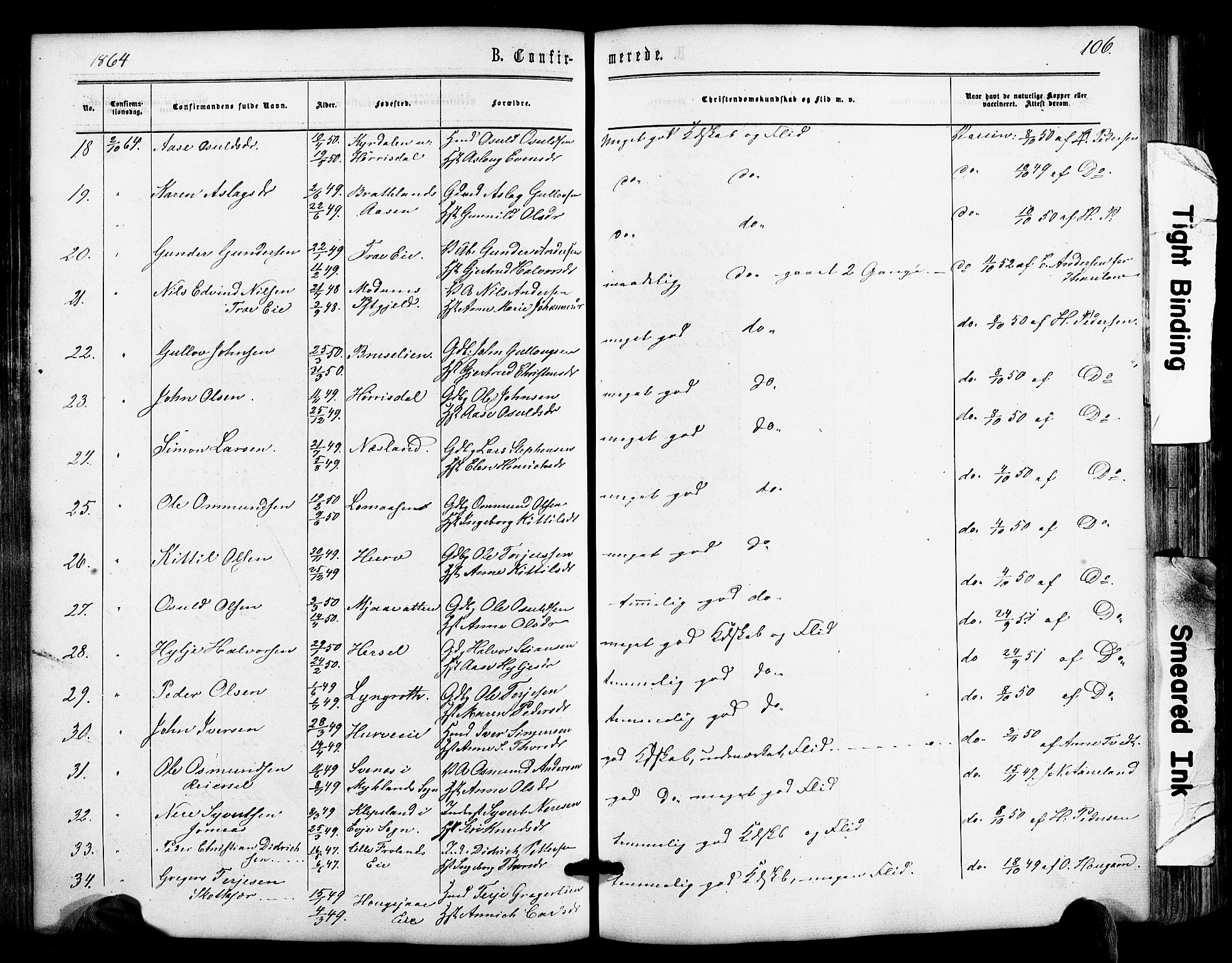 Froland sokneprestkontor, AV/SAK-1111-0013/F/Fa/L0003: Parish register (official) no. A 3, 1864-1881, p. 106