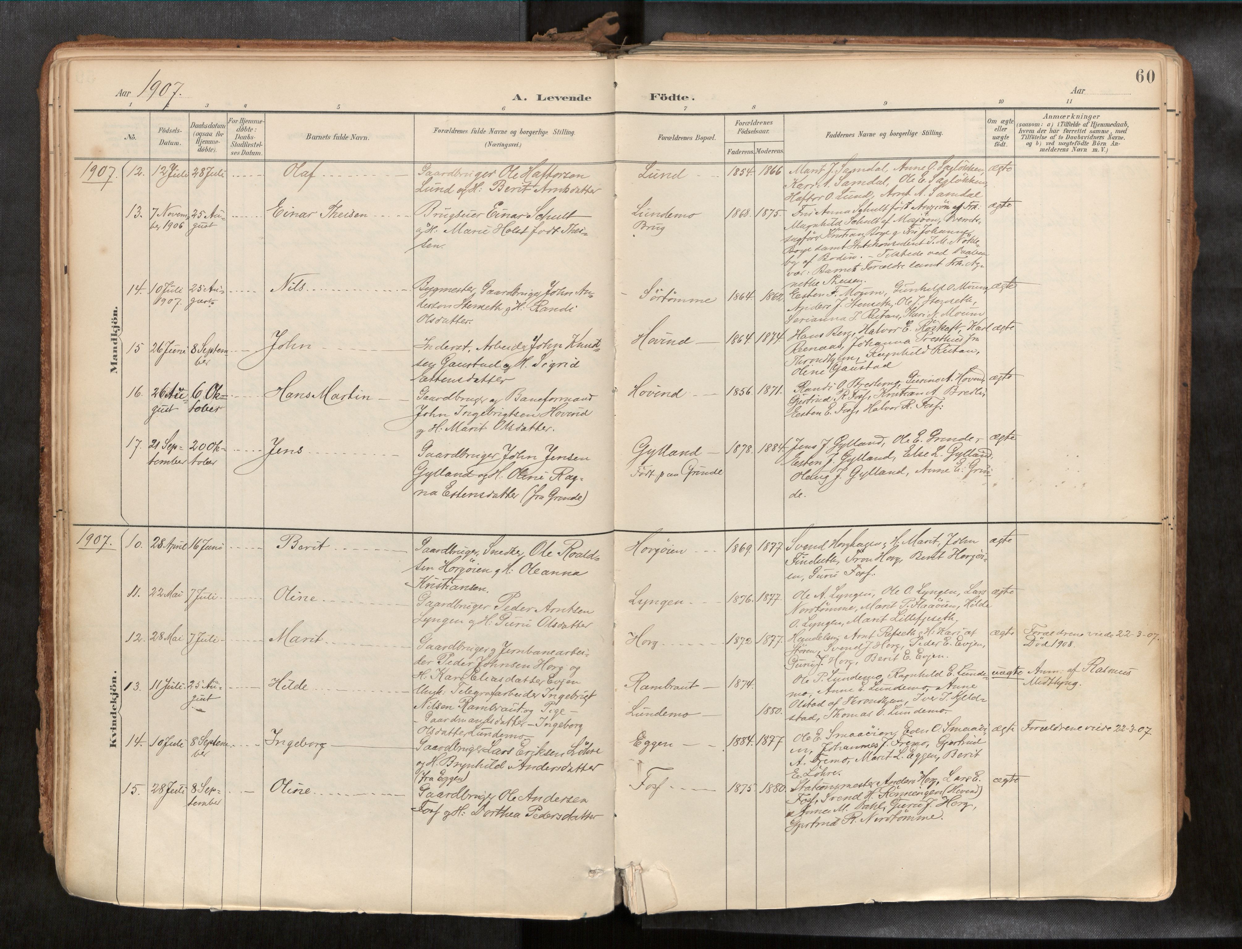 Ministerialprotokoller, klokkerbøker og fødselsregistre - Sør-Trøndelag, SAT/A-1456/692/L1105b: Parish register (official) no. 692A06, 1891-1934, p. 60