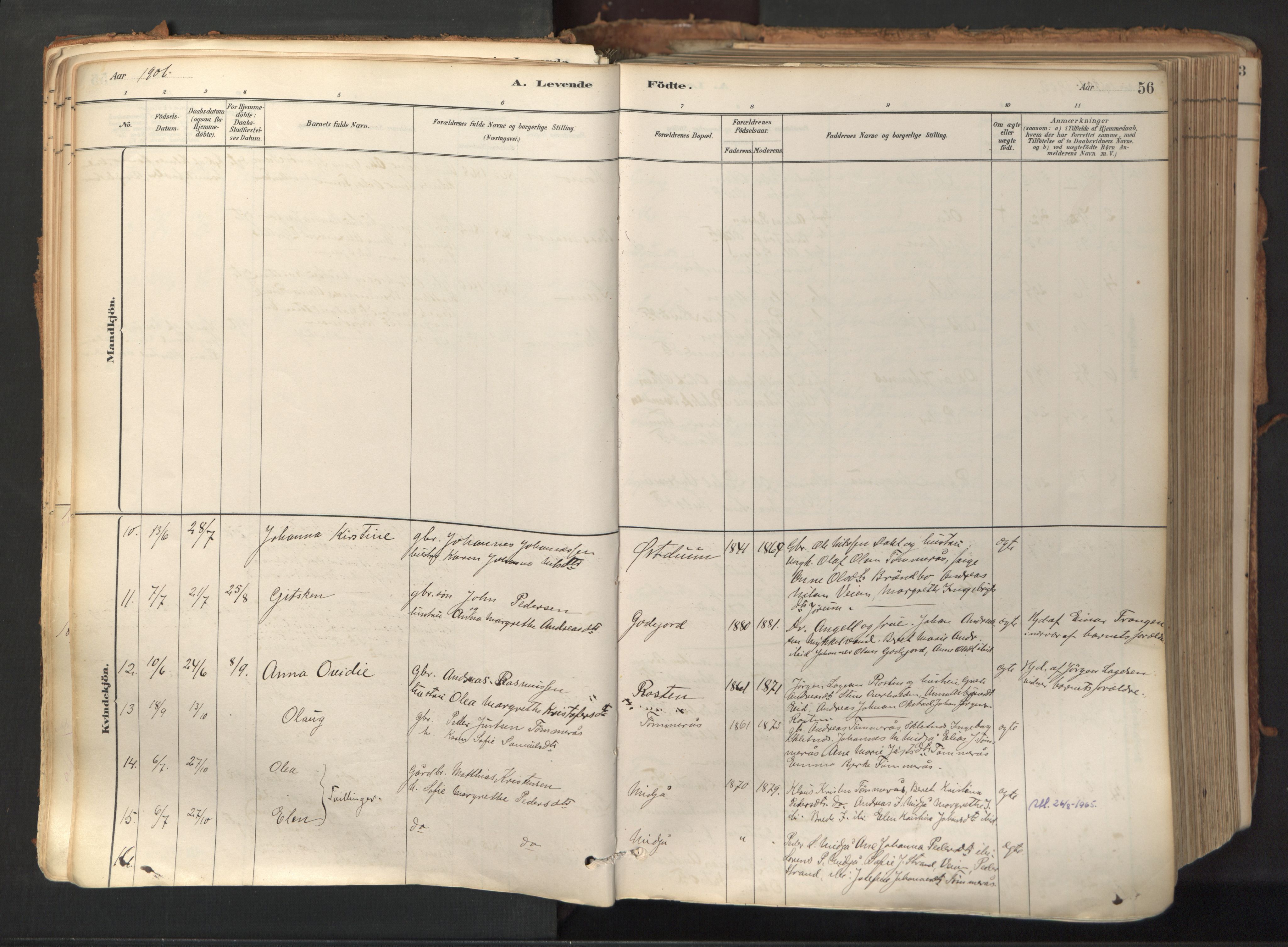 Ministerialprotokoller, klokkerbøker og fødselsregistre - Nord-Trøndelag, SAT/A-1458/758/L0519: Parish register (official) no. 758A04, 1880-1926, p. 56