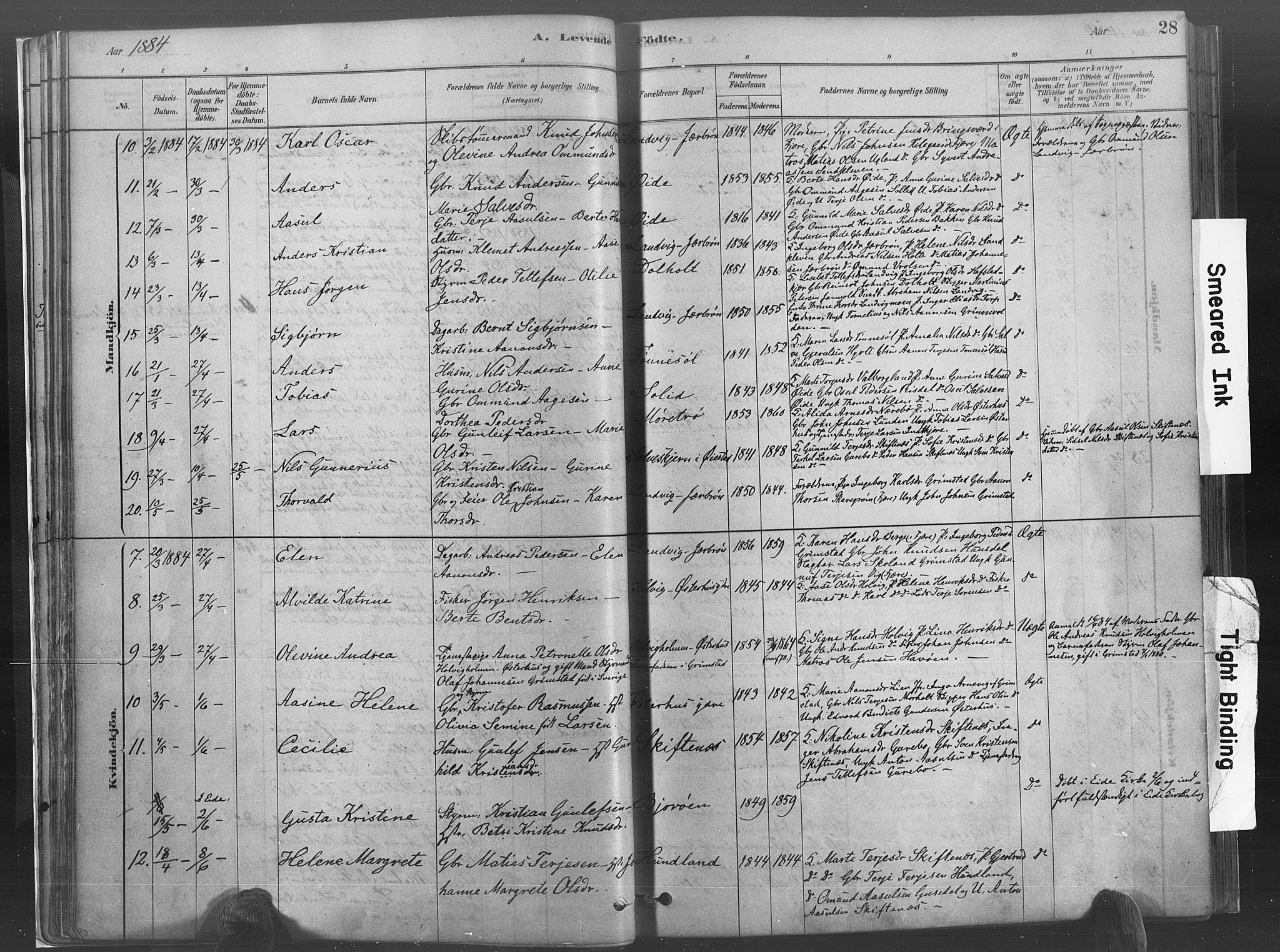 Hommedal sokneprestkontor, AV/SAK-1111-0023/F/Fa/Fab/L0006: Parish register (official) no. A 6, 1878-1897, p. 28