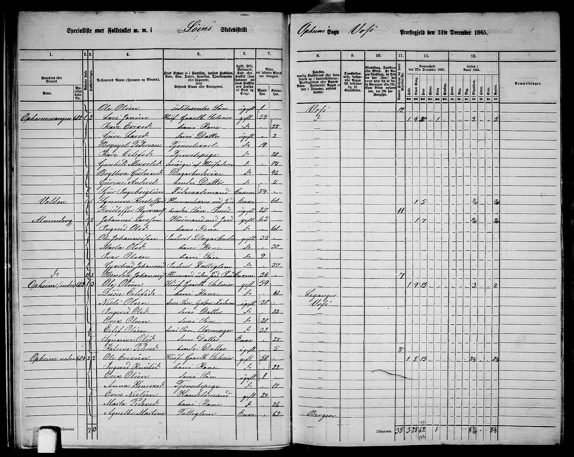 RA, 1865 census for Voss, 1865, p. 243