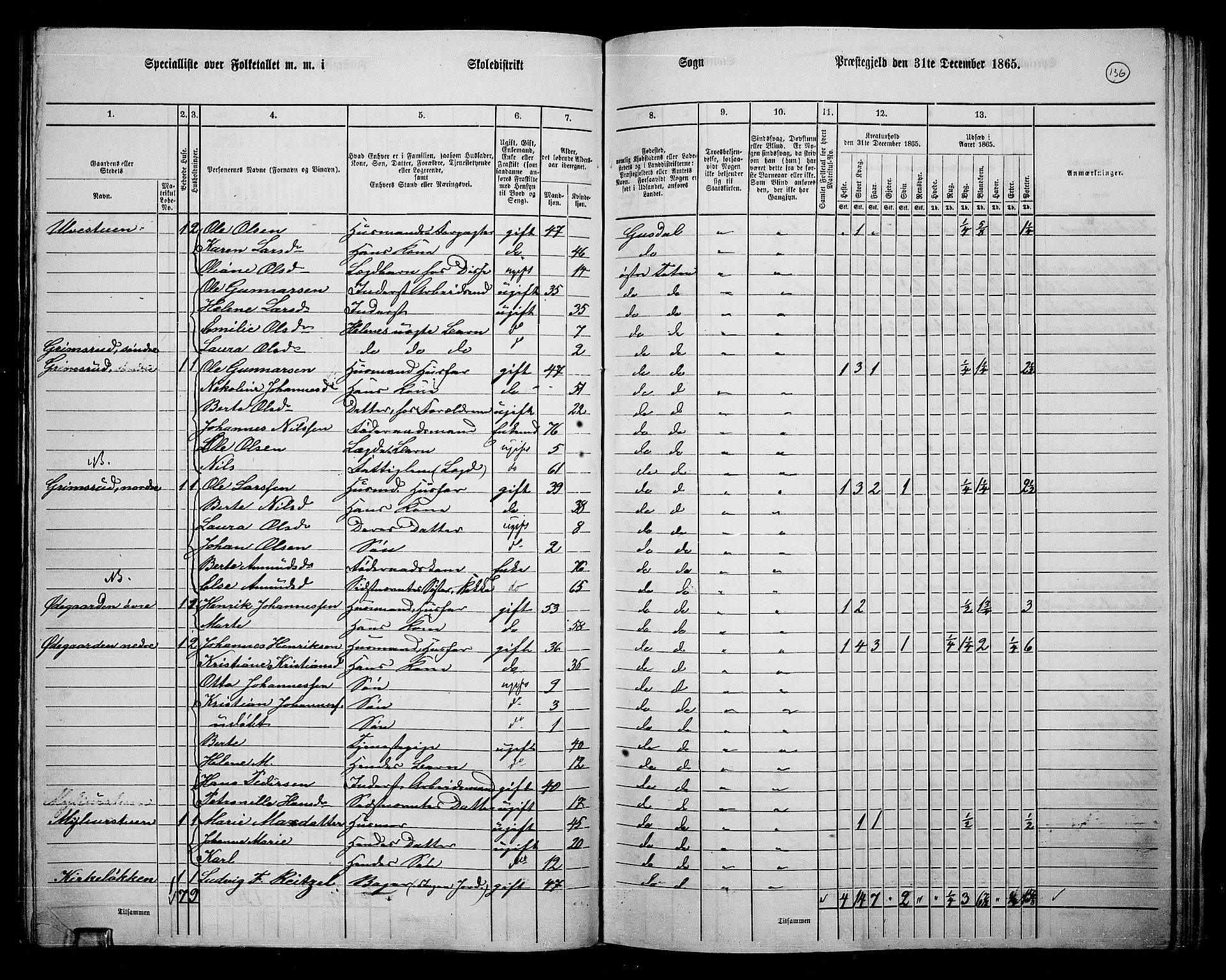 RA, 1865 census for Østre Toten, 1865, p. 252