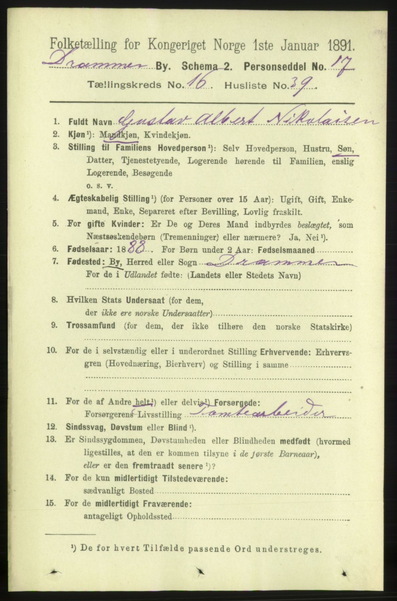 RA, 1891 census for 0602 Drammen, 1891, p. 11267