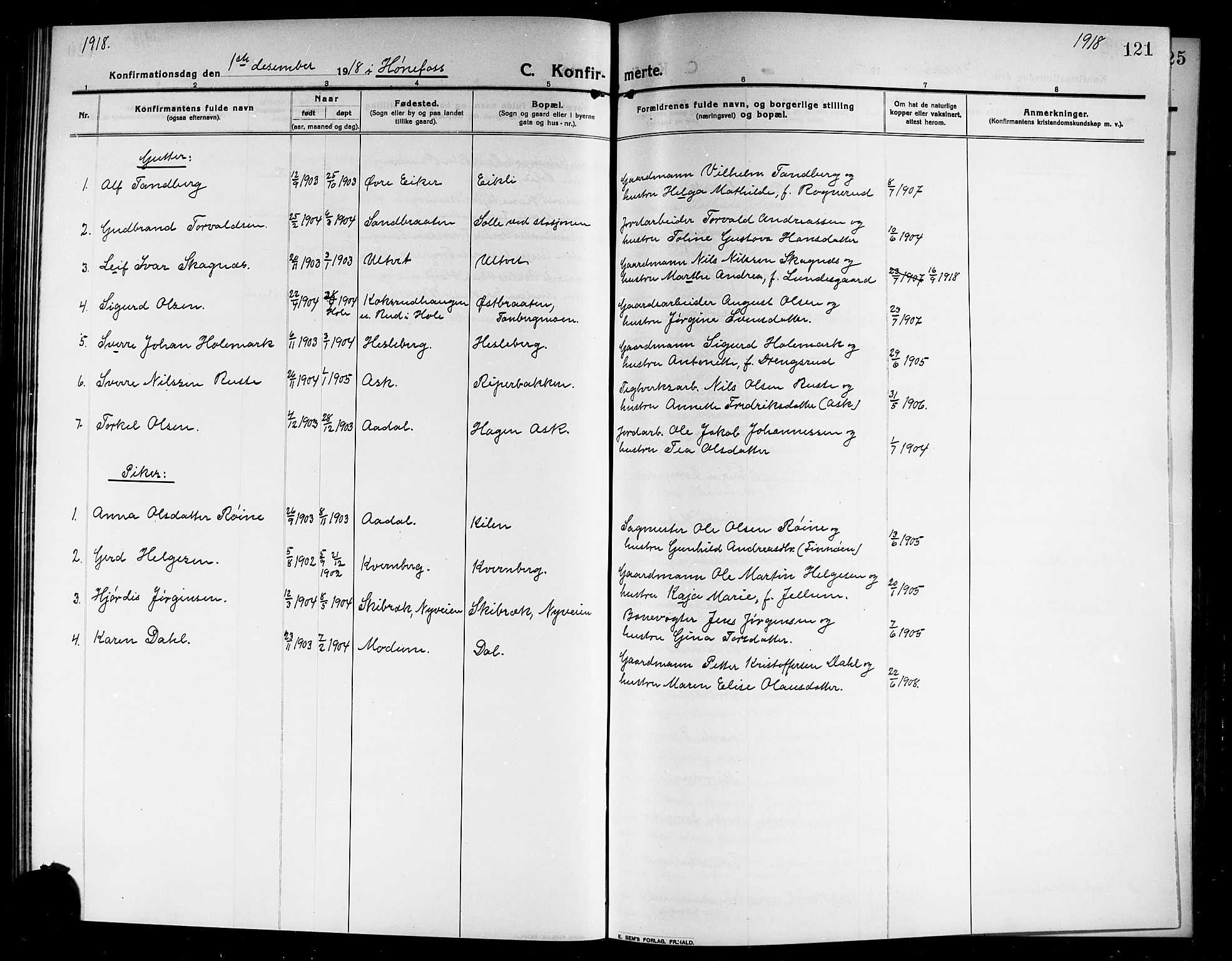 Norderhov kirkebøker, SAKO/A-237/G/Ga/L0009: Parish register (copy) no. I 9, 1913-1920, p. 121